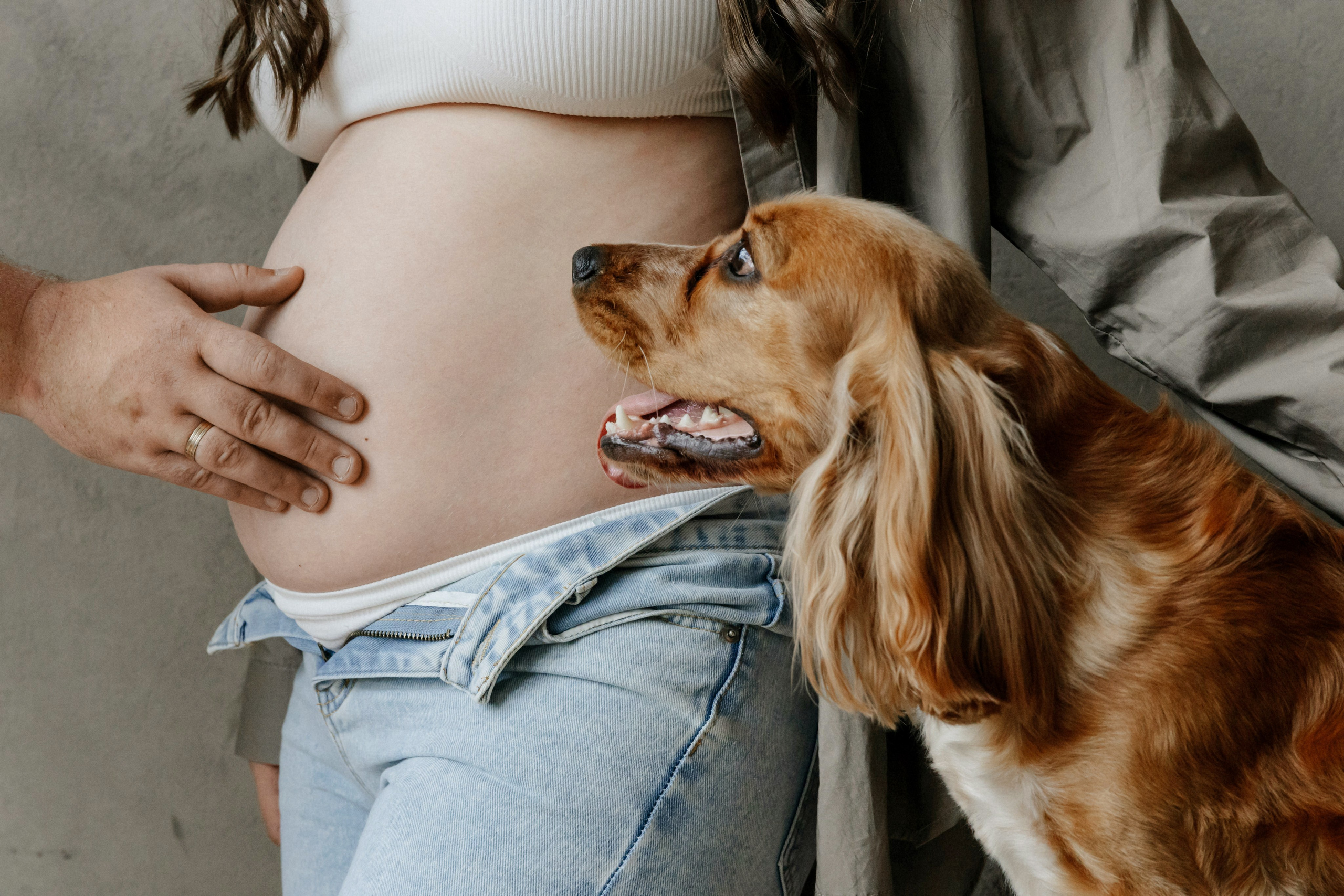 Семейная фотографий. Свадебный и репортажный фотограф в Москве Владимир Сергеев | Naysaikolo