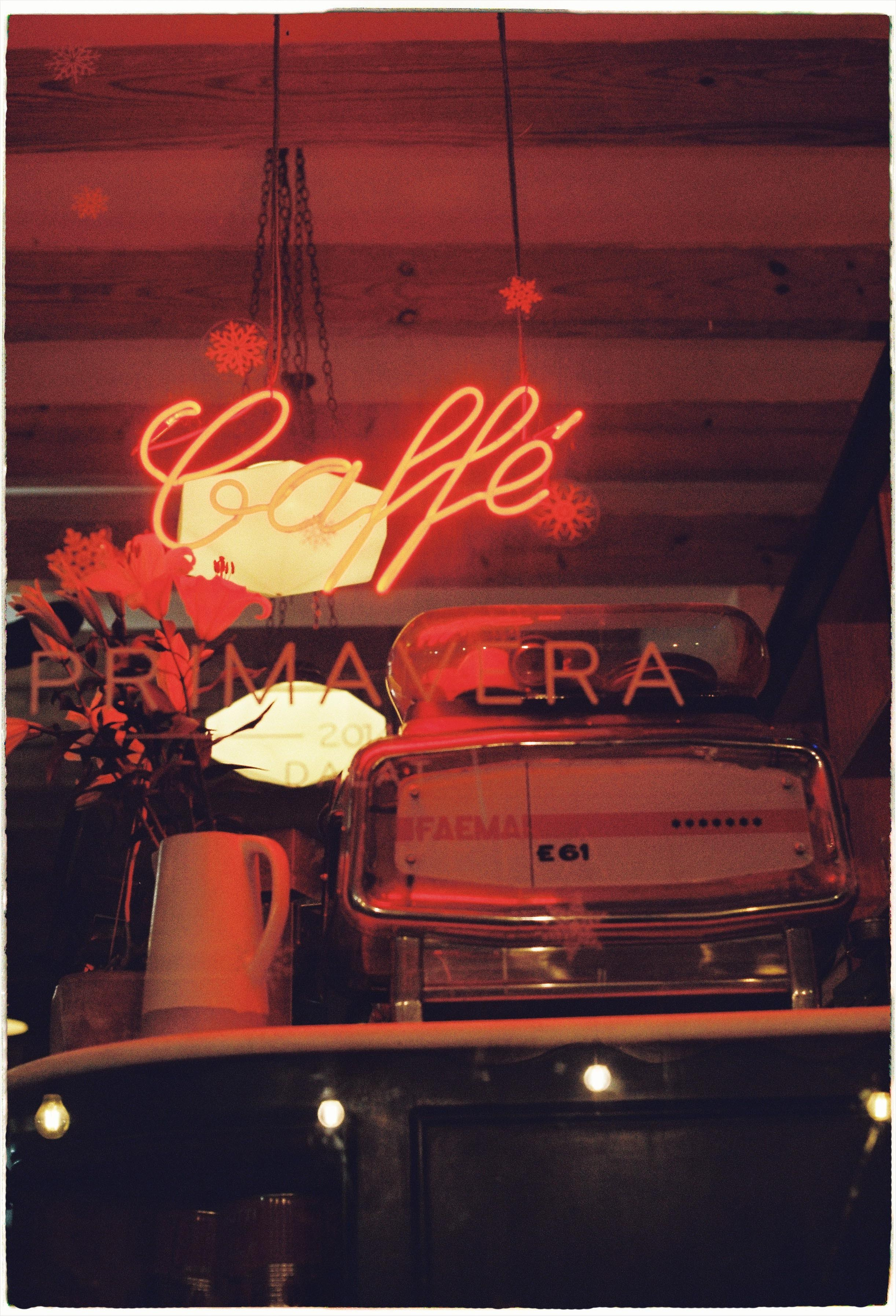 Dalat 2024. Film Photographer in Da Nang, Vietnam — Tanya Parfenteva