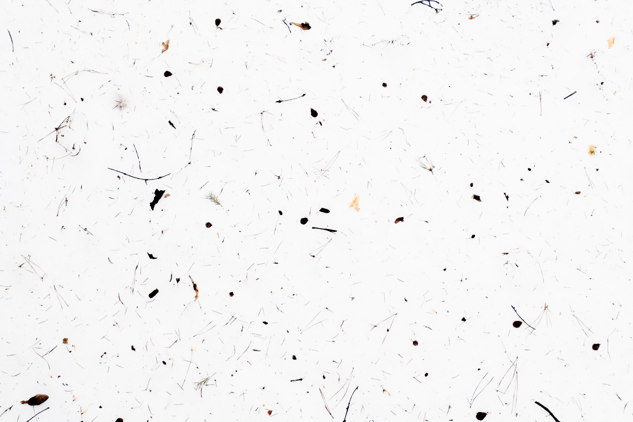 Фоточеллендж «30 дней — 30 фото». Олег Романов. Мастер фото по спорту