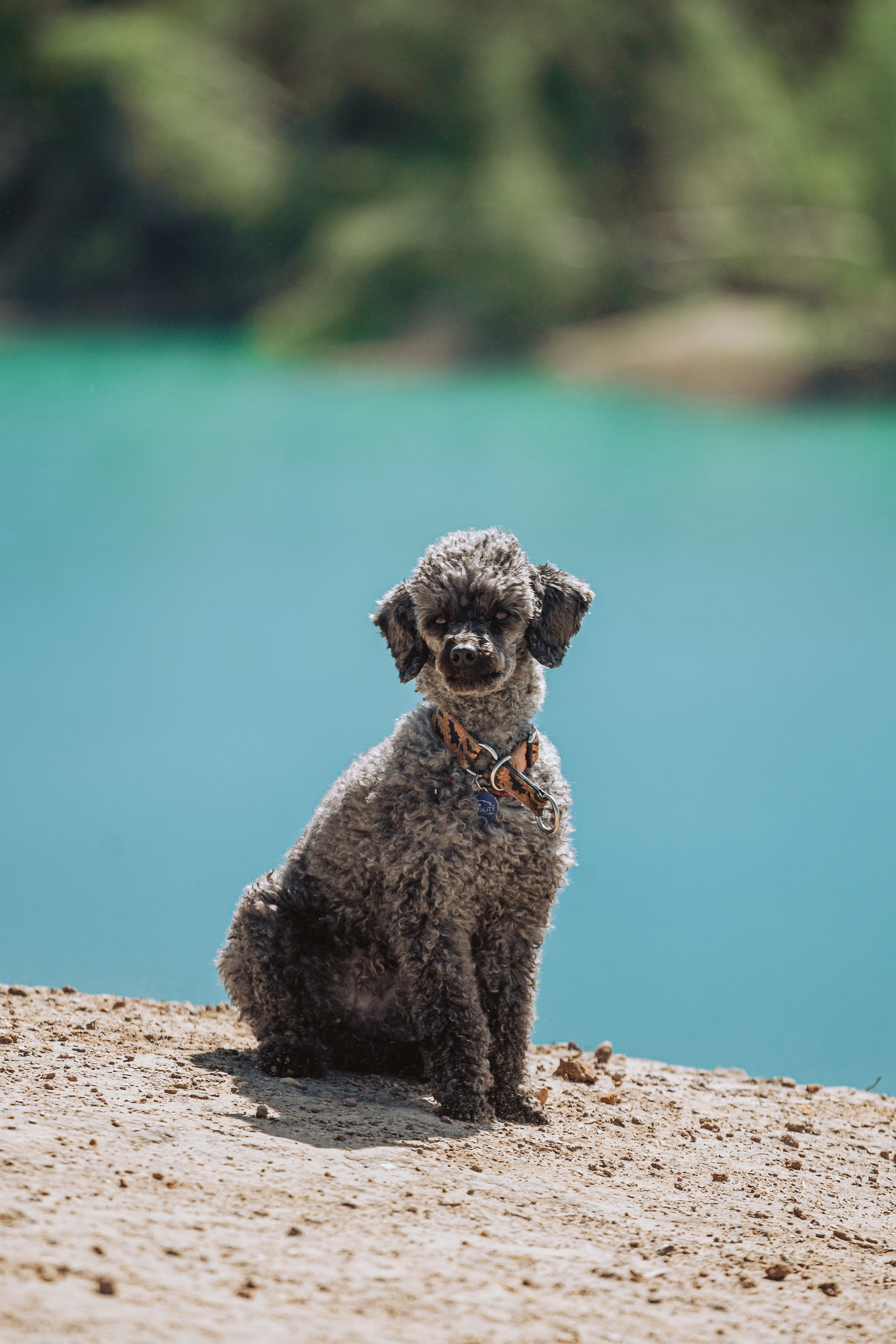 Кондуки. Фотограф-анималист Татьяна Степанова