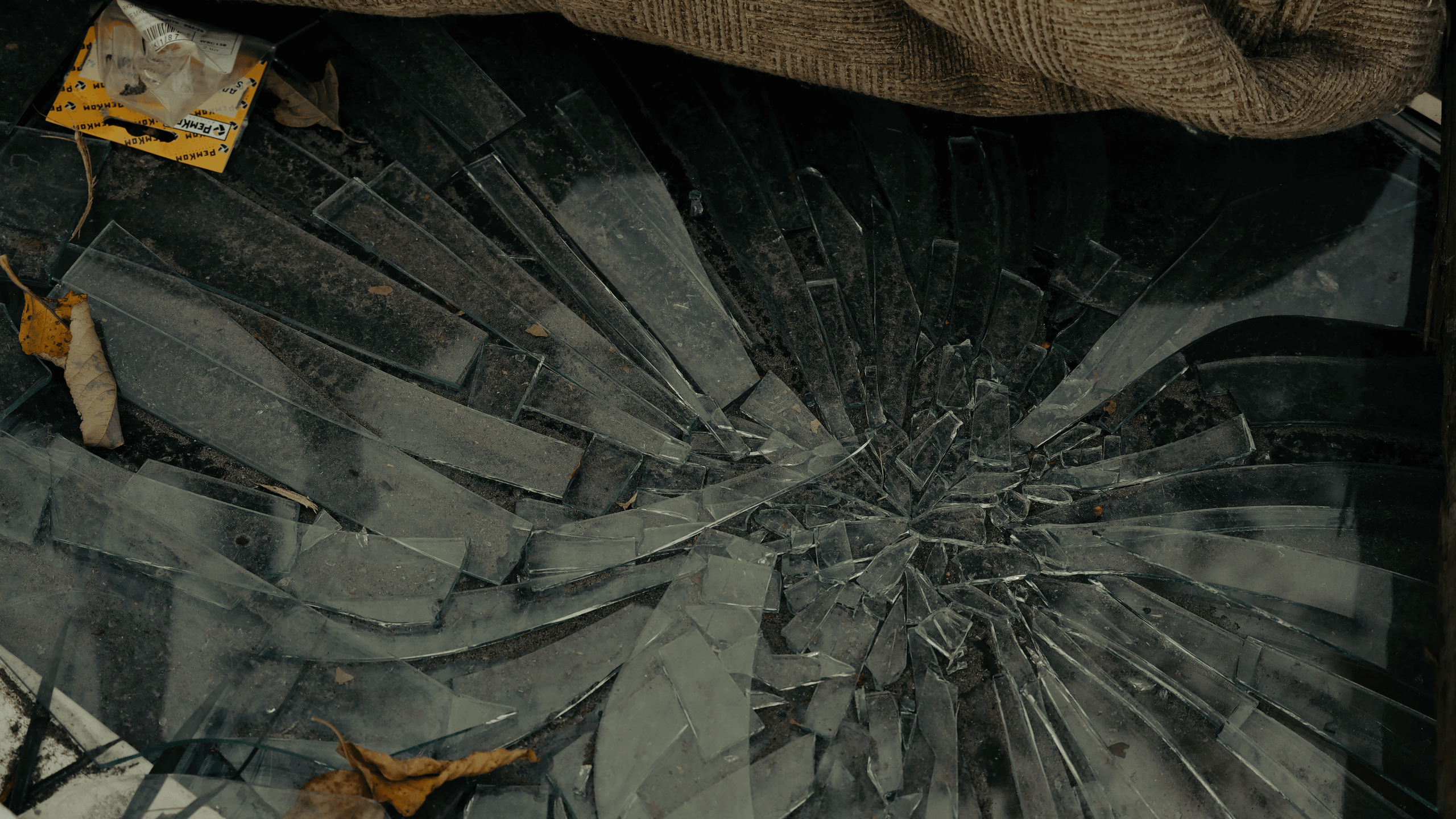 TMN autumn '24. Фотограф/дизайнер в Екатеринбурге Хитрый Дмитрий