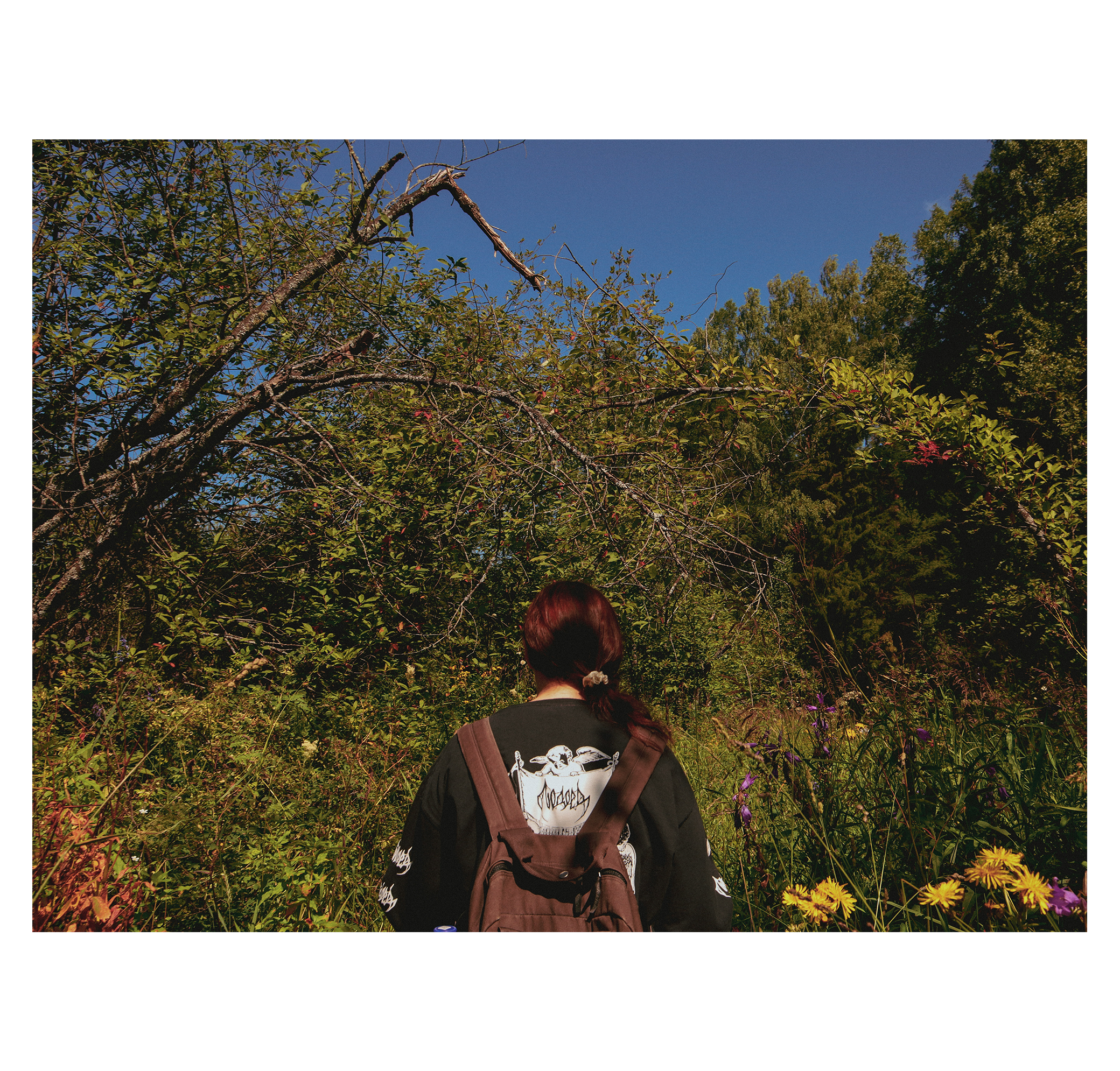 Summer hike. Фотограф/дизайнер в Екатеринбурге Хитрый Дмитрий