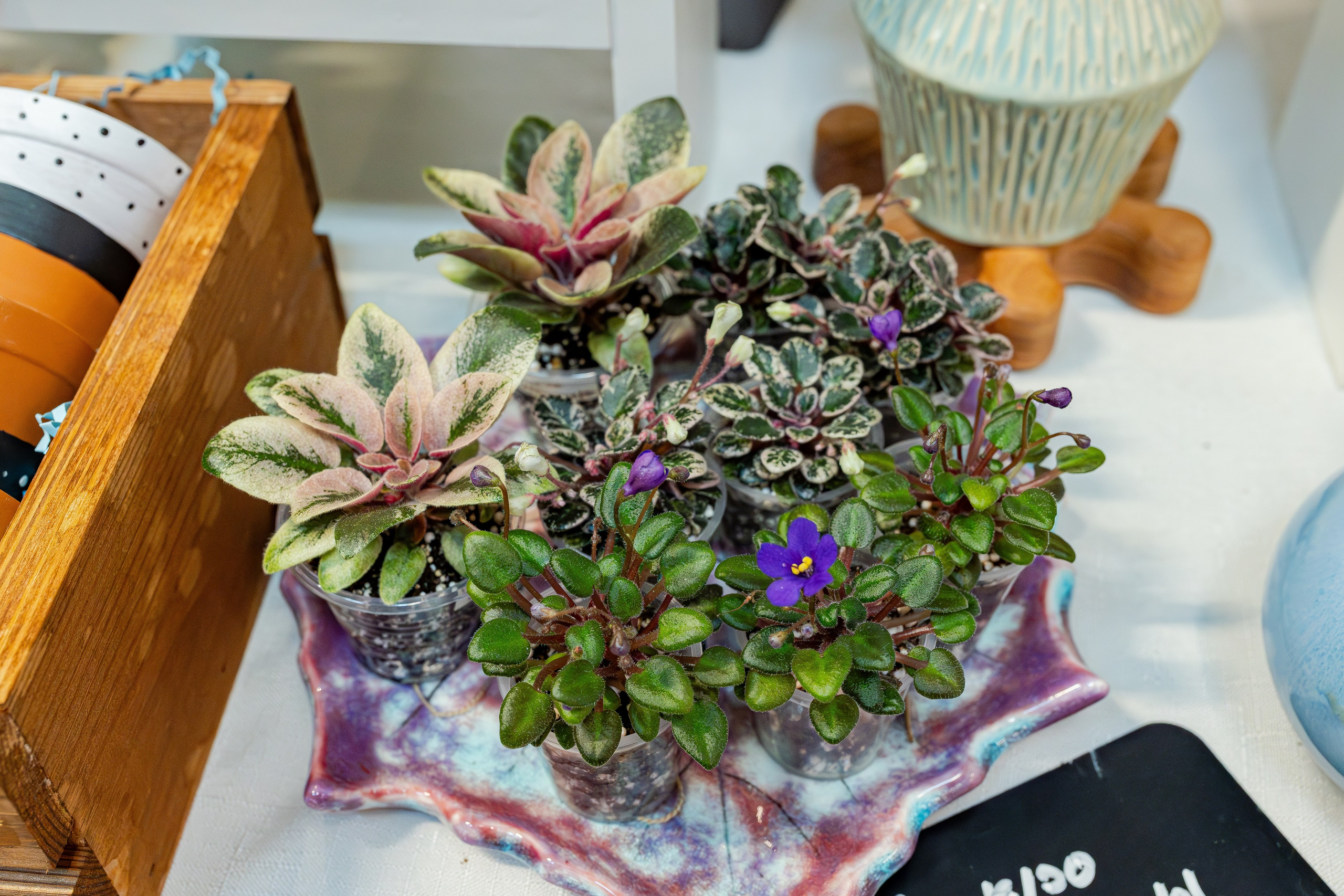 Growbox 1–2 марта. Александра Куликова фотограф, Москва