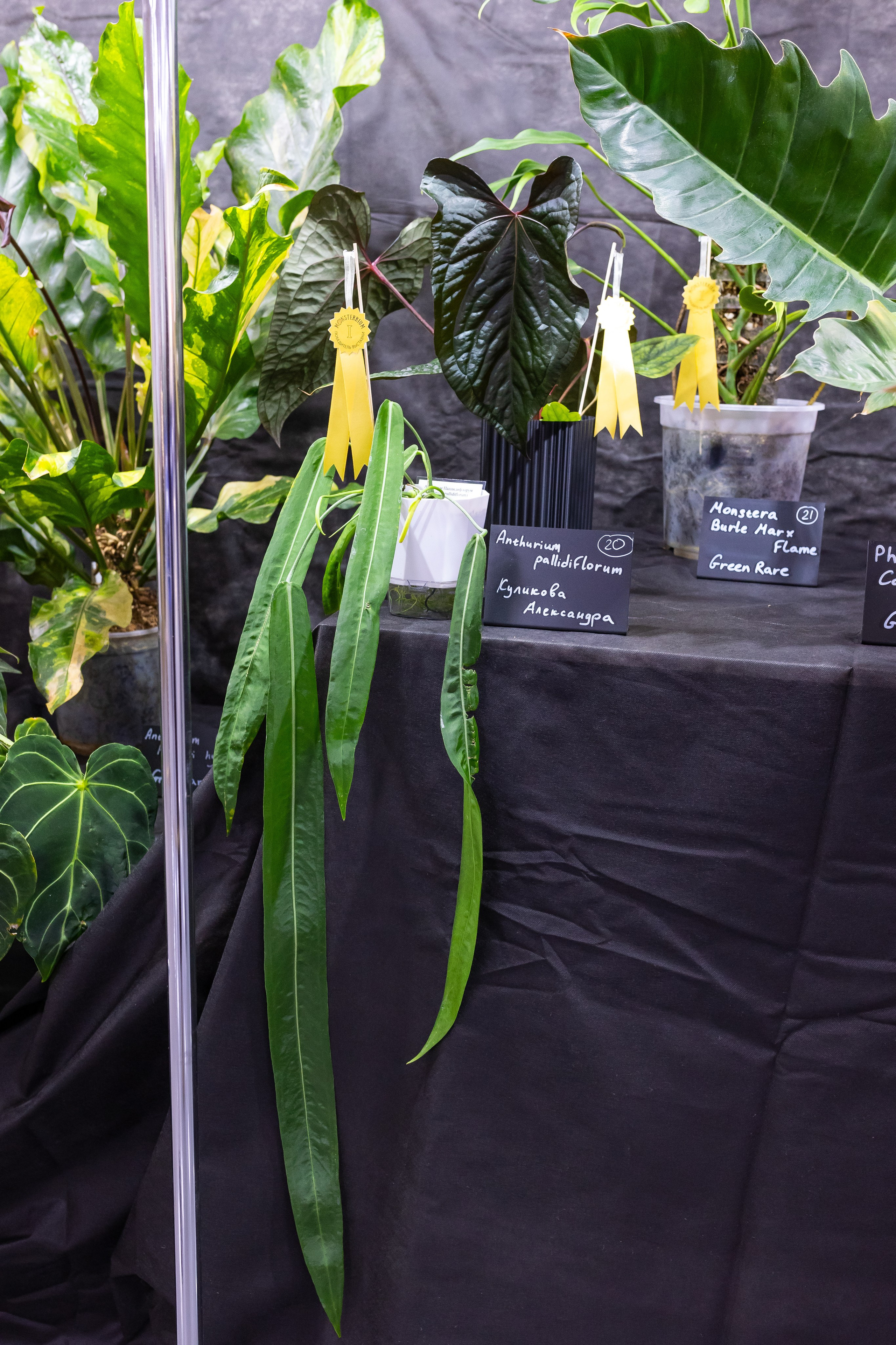 Монстериум апрель 2025. Александра Куликова фотограф, Москва