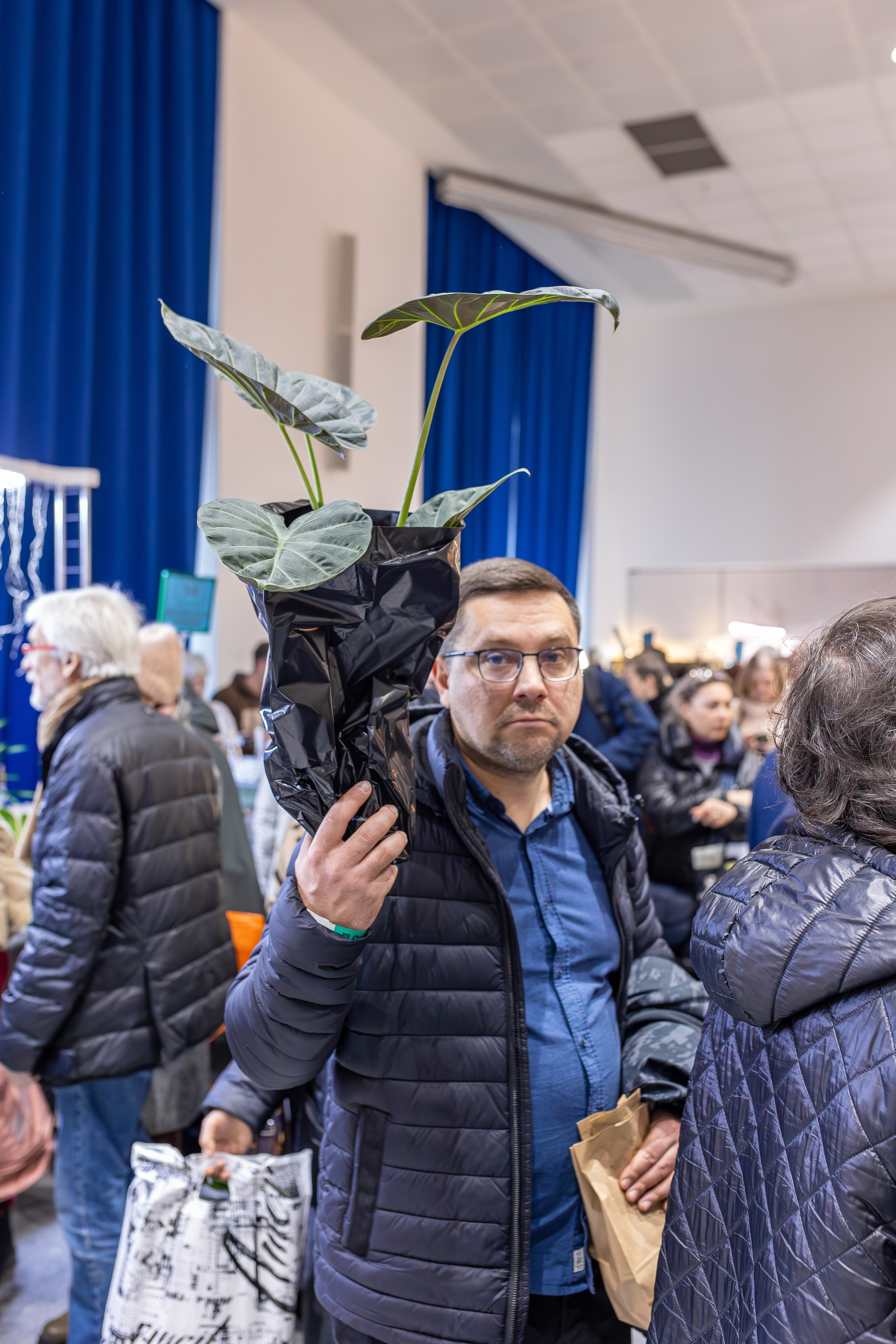 Орхидиум 12.2025. Александра Куликова фотограф, Москва