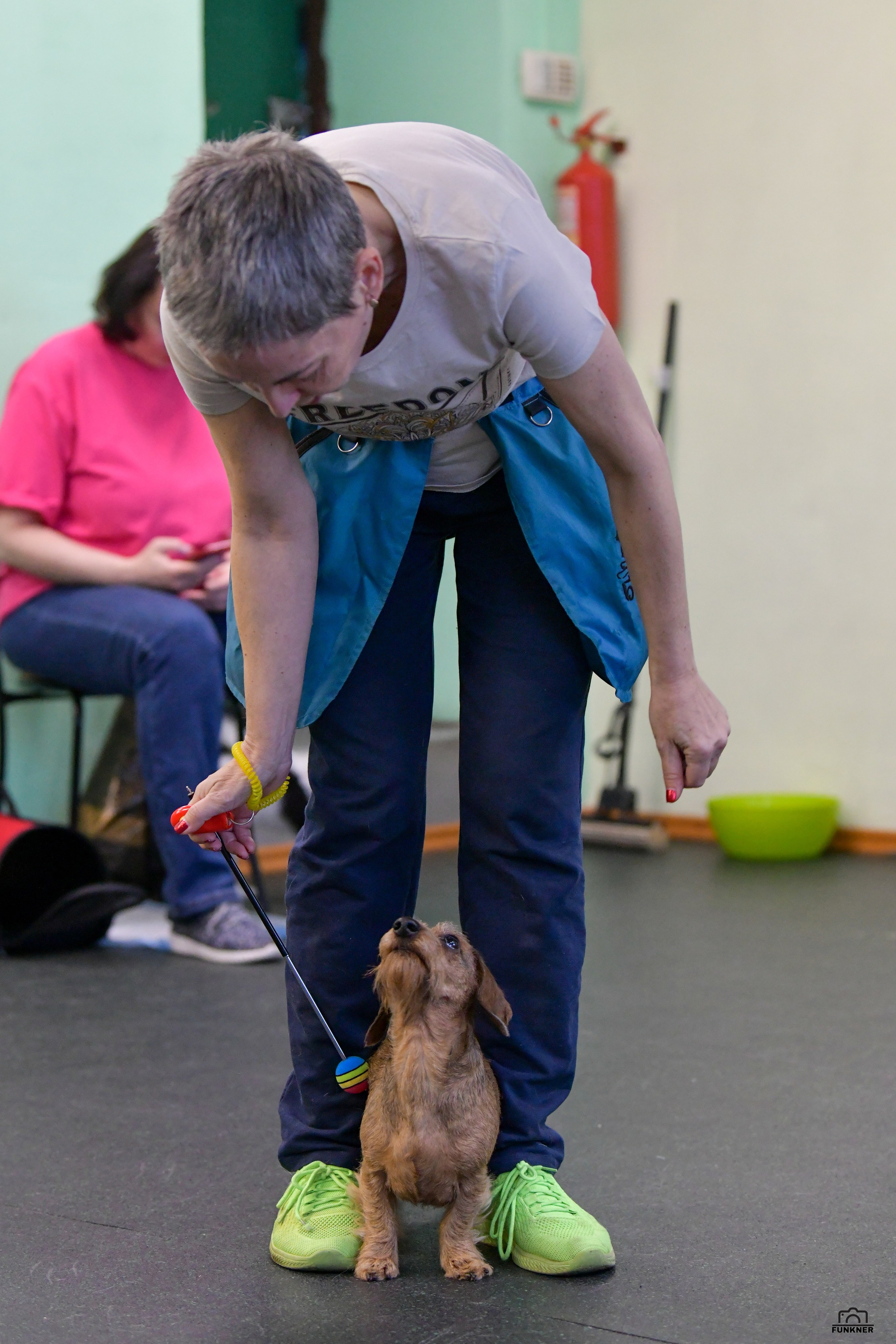 Кинологический клуб «Бодрый хвост». Свой взгляд через объектив