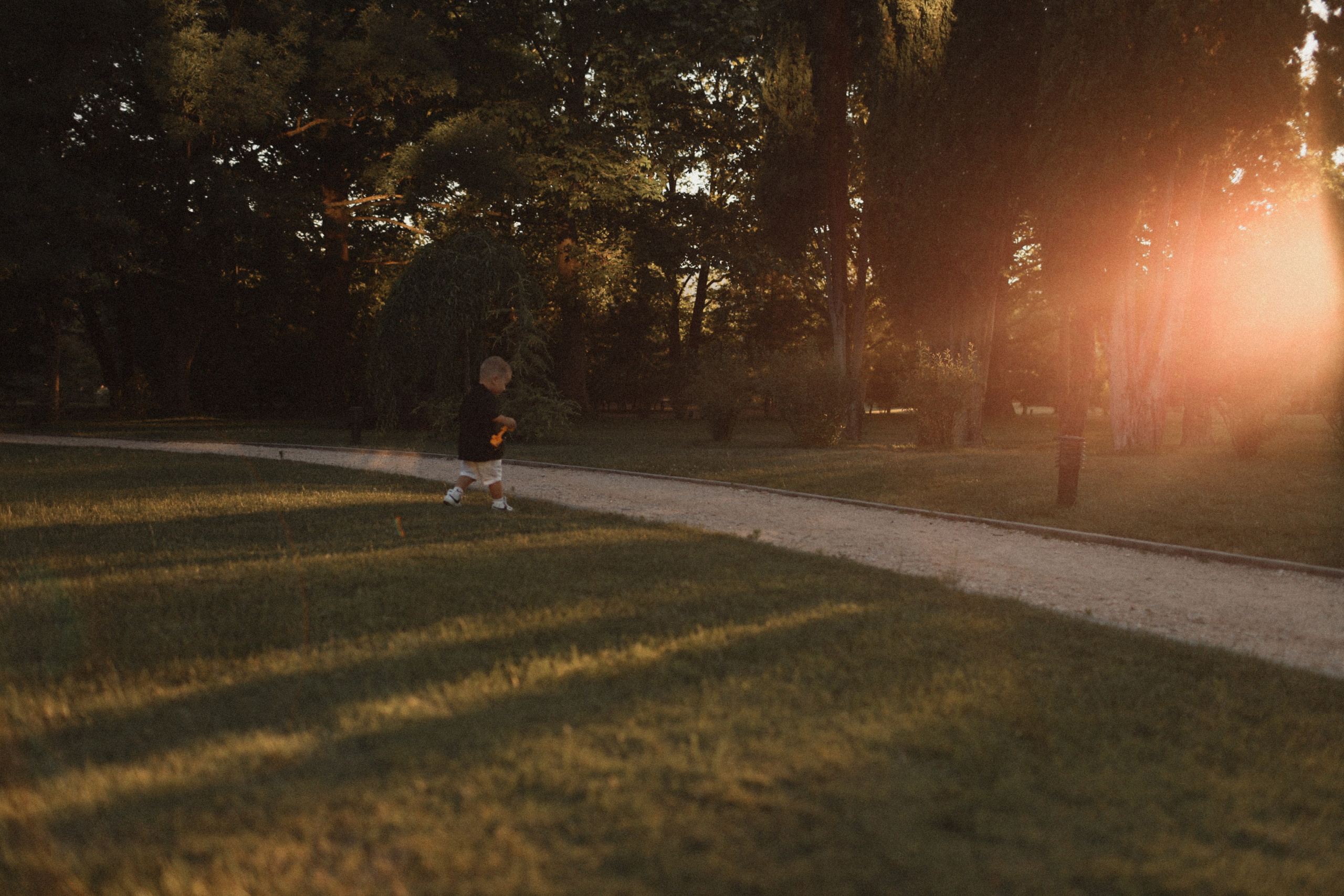 Mushrooms. Фотограф Воронцова Виталия Крым Севастополь
