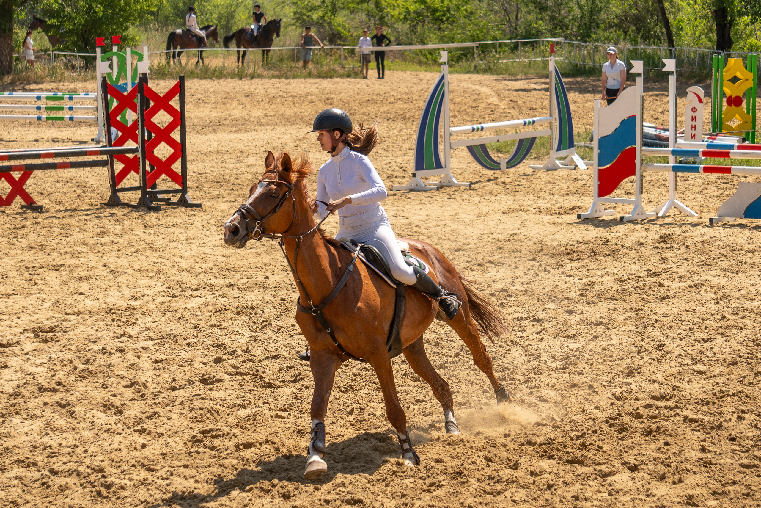 Соревнования по конкуру, Луганск. Фотограф в РФ и ЛНР Юлия Федосеева