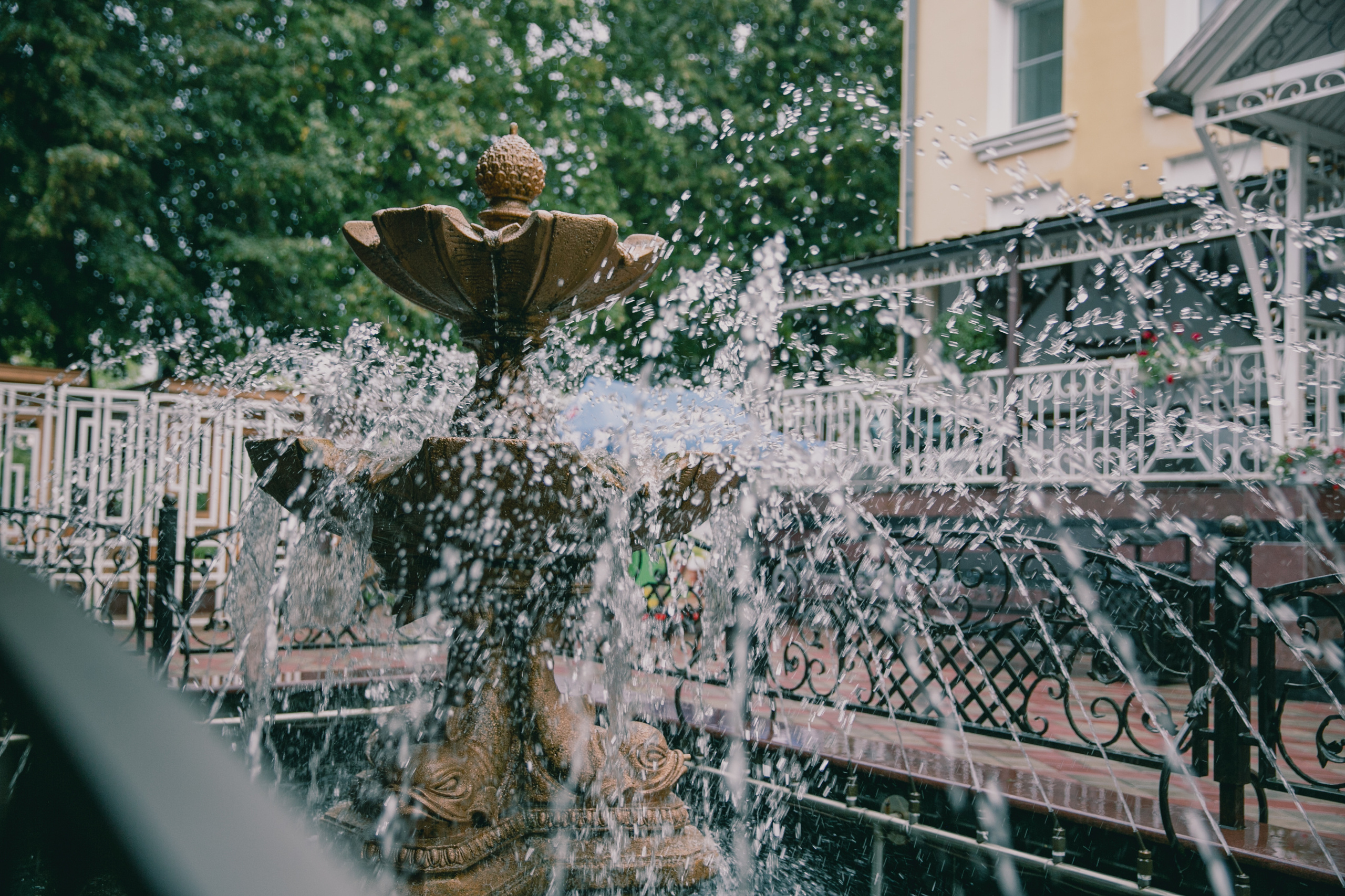 Шуфутинов день в Пирс 33. Свадебный и репортажный фотограф в Ярославле Евгений Шовдин