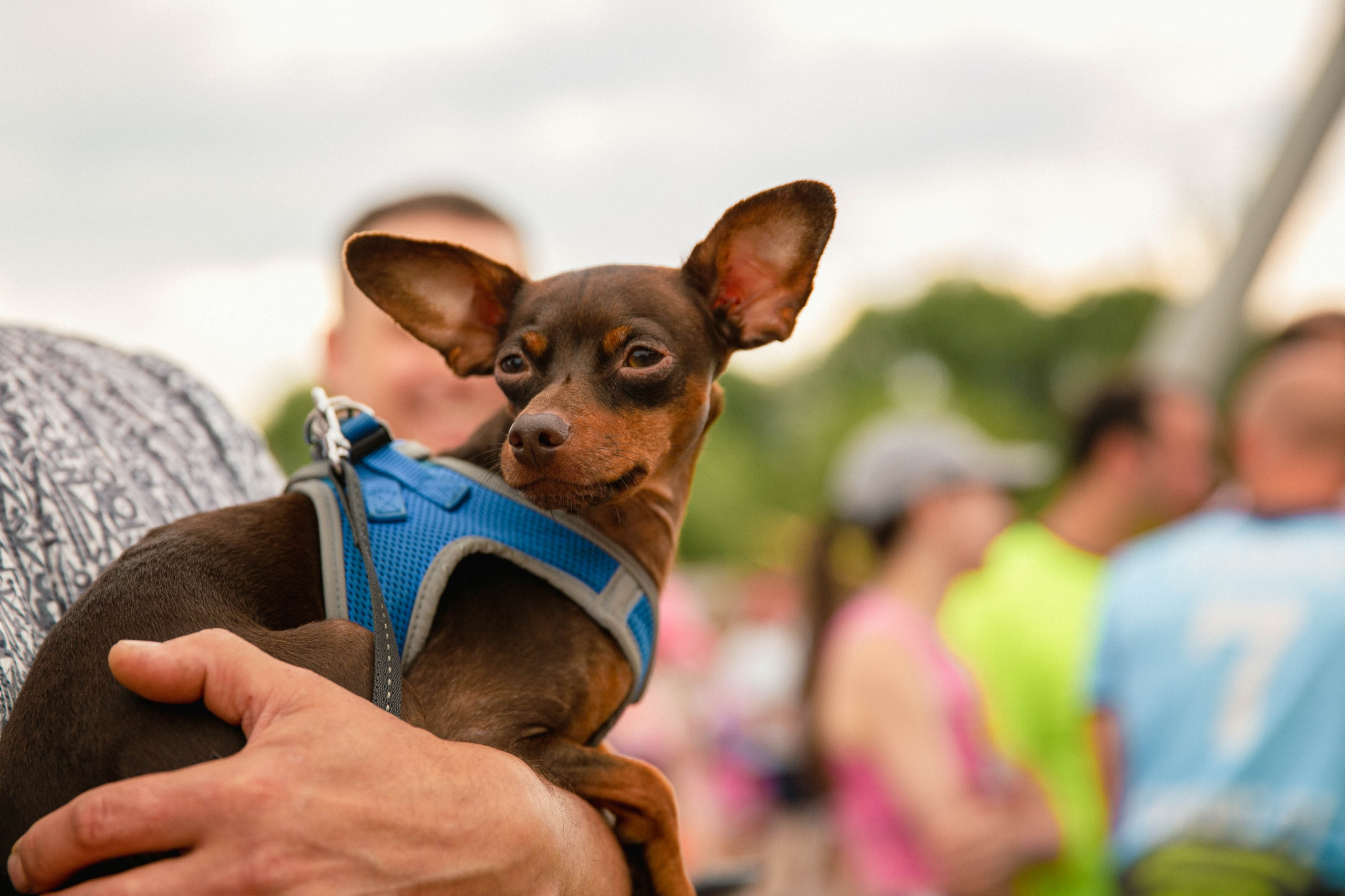 RUTS Ярославль. Свадебный и репортажный фотограф в Ярославле Евгений Шовдин