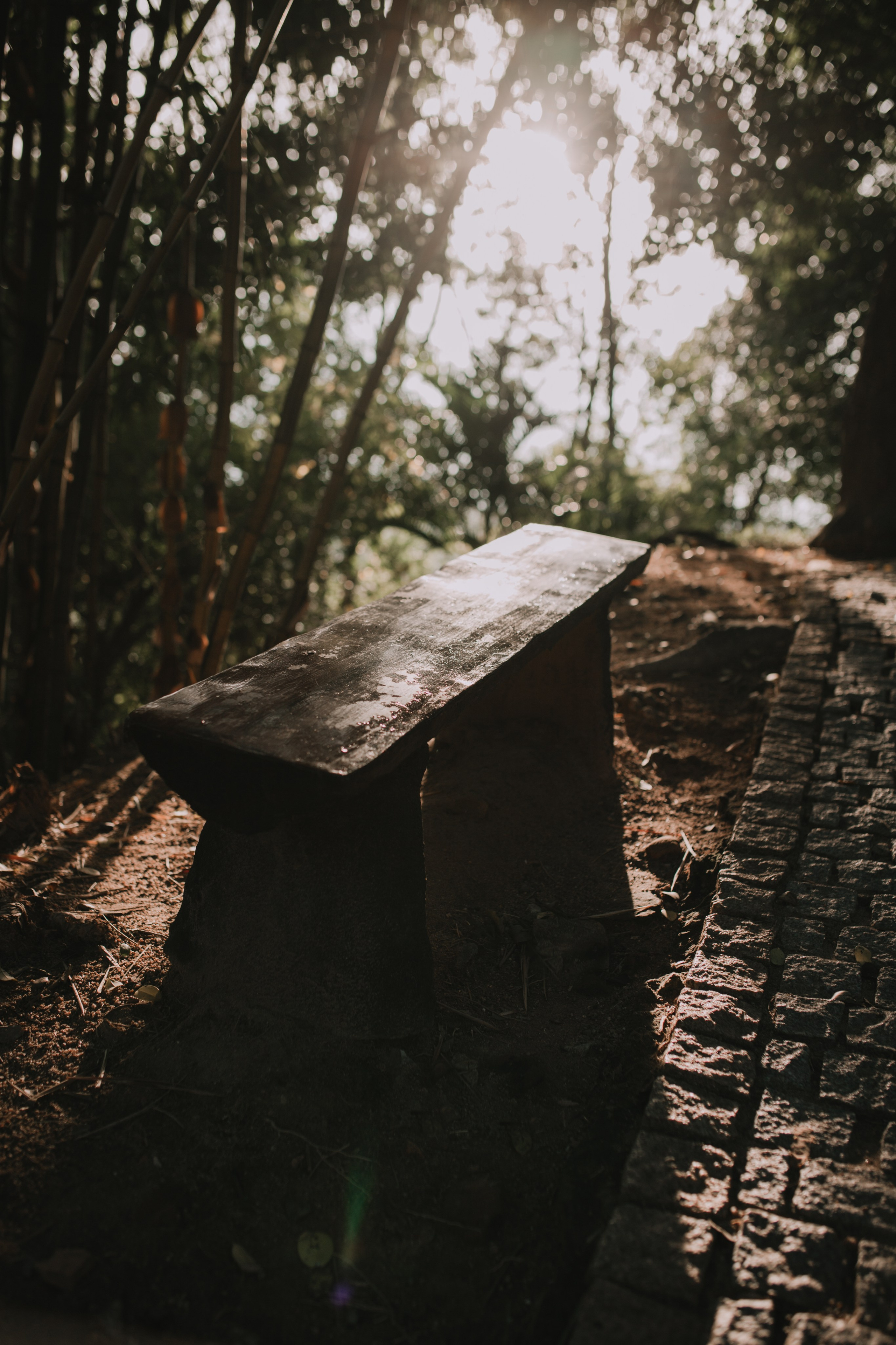 Елизавета на улицах Вьетнама. Главная