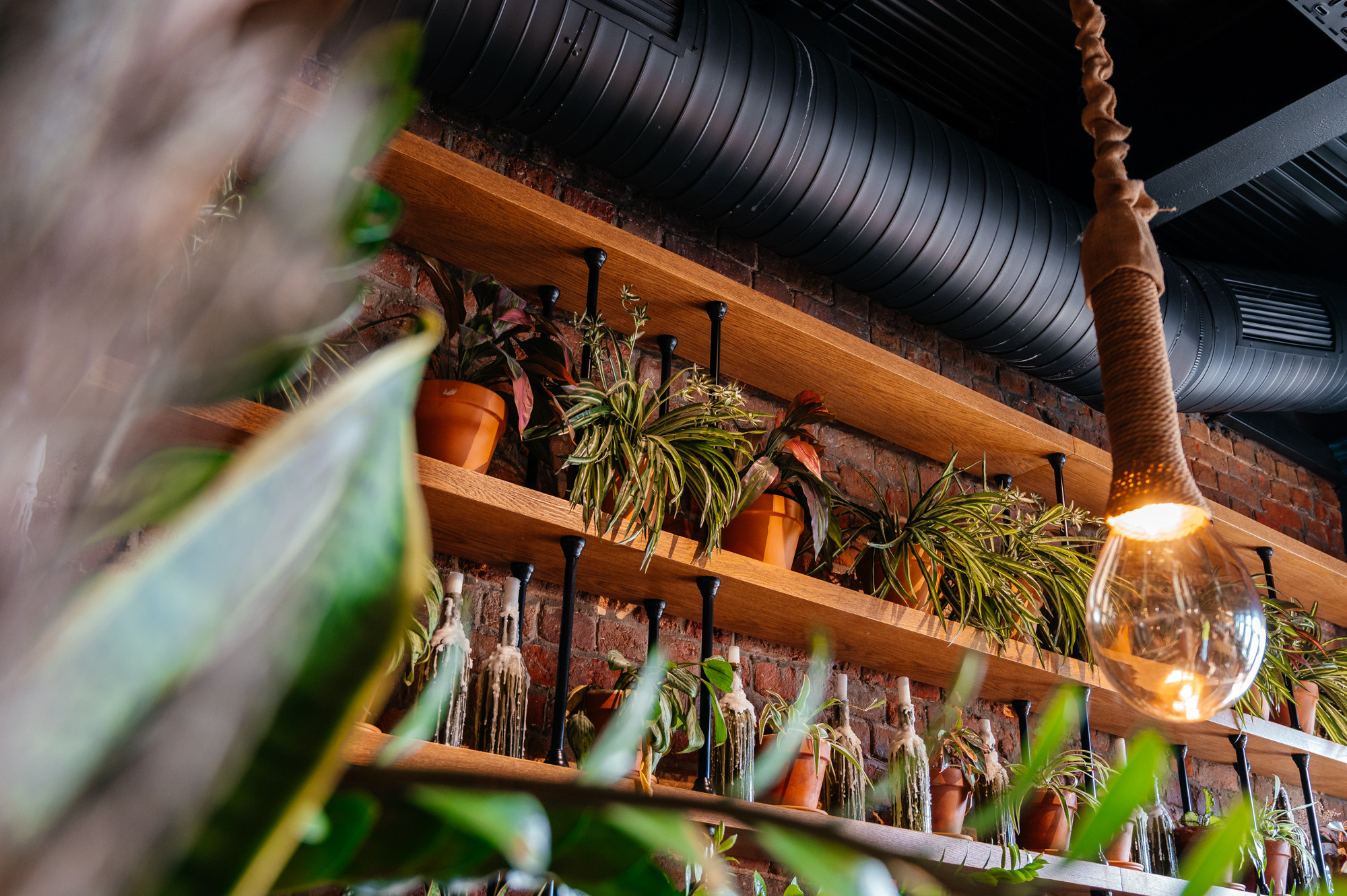 Georgian restaurant: interior shooting. Photo & Video production, in Bishkek, Kyrgyzstan