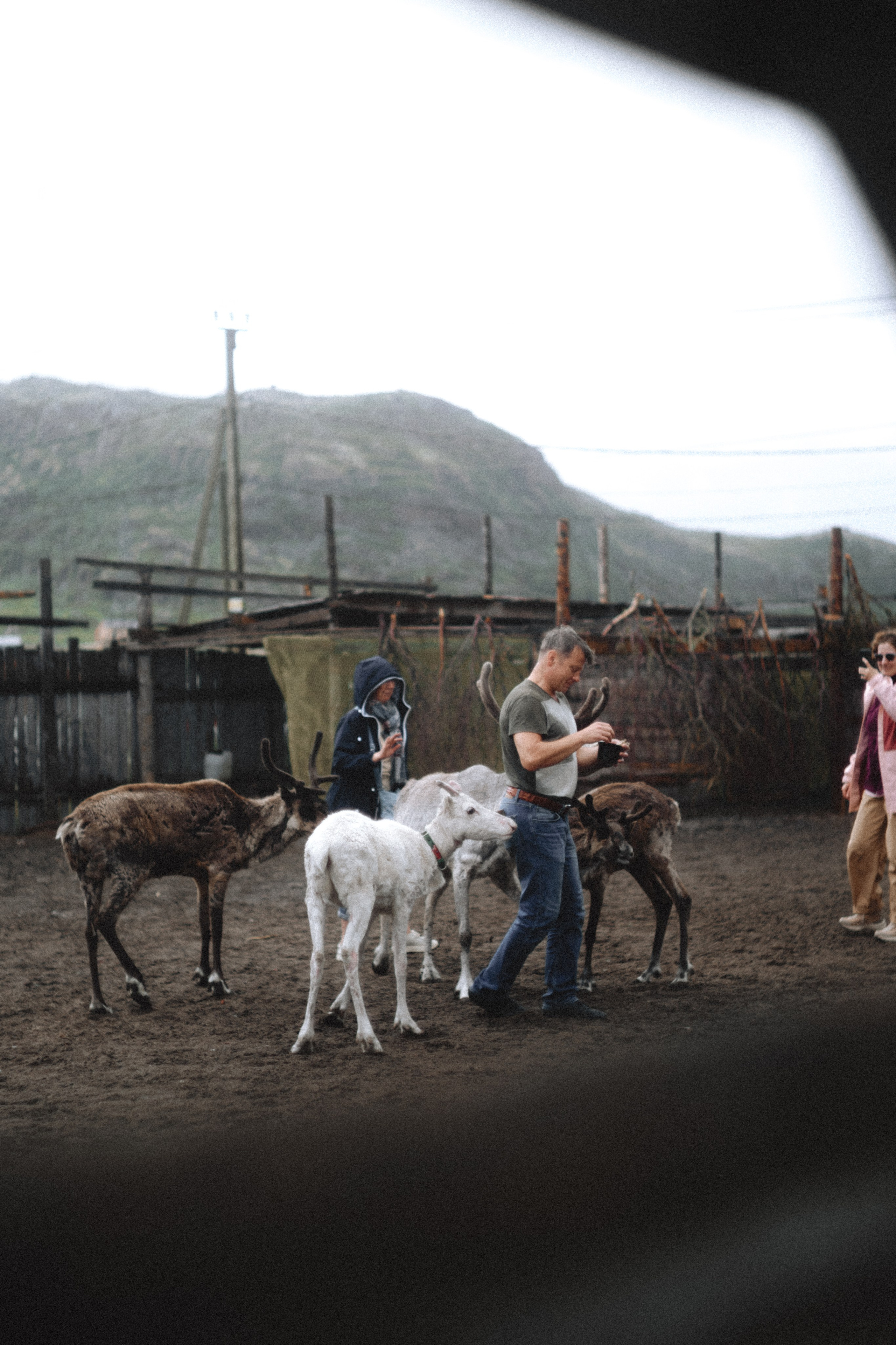 Териберка, Мурманск. Фотосъёмка для компании по организации туров в коллаборации с Яндекс 360