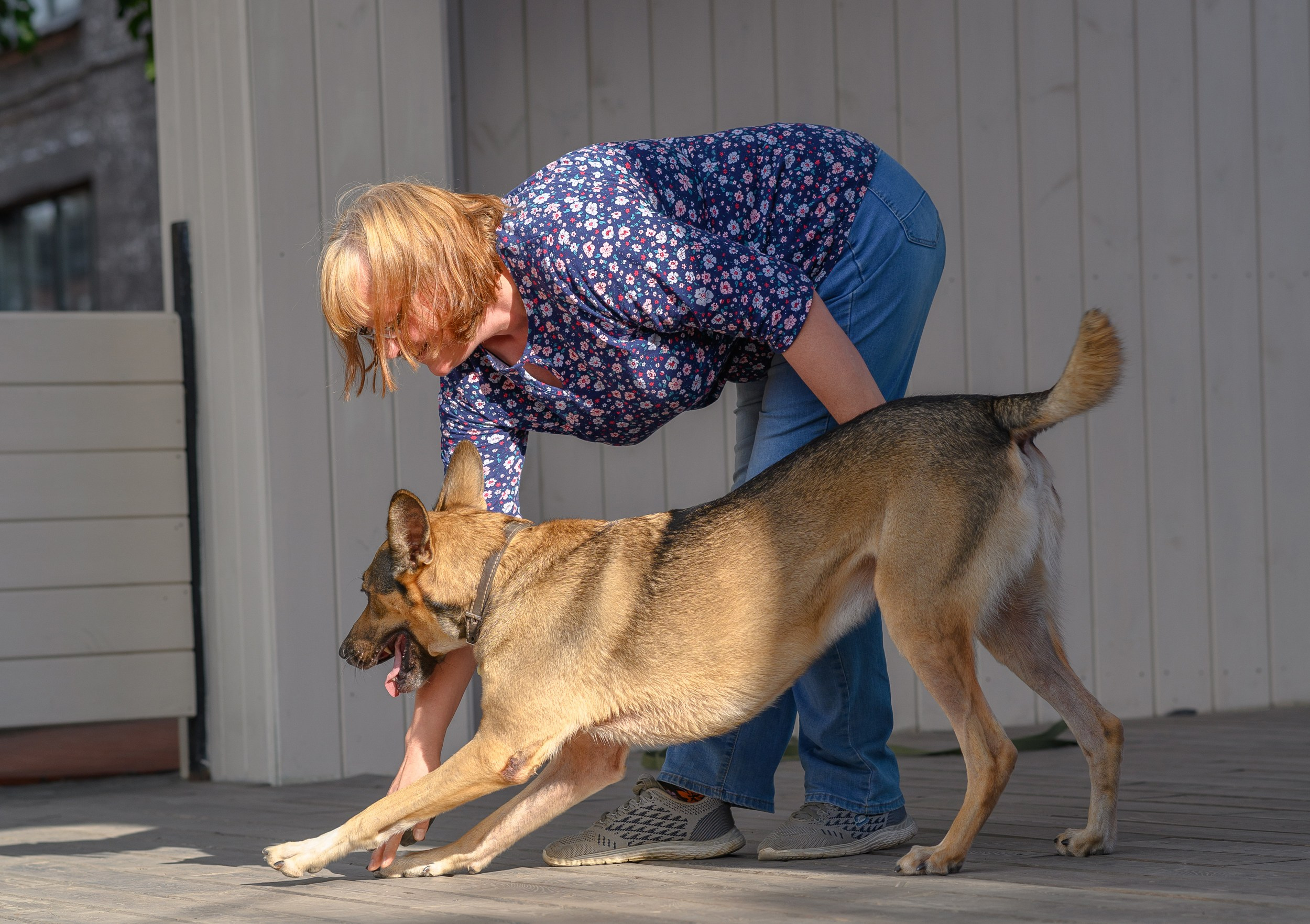 СобачийФест_РынокНаГоре_10082024. Фотограф Александр Данилов