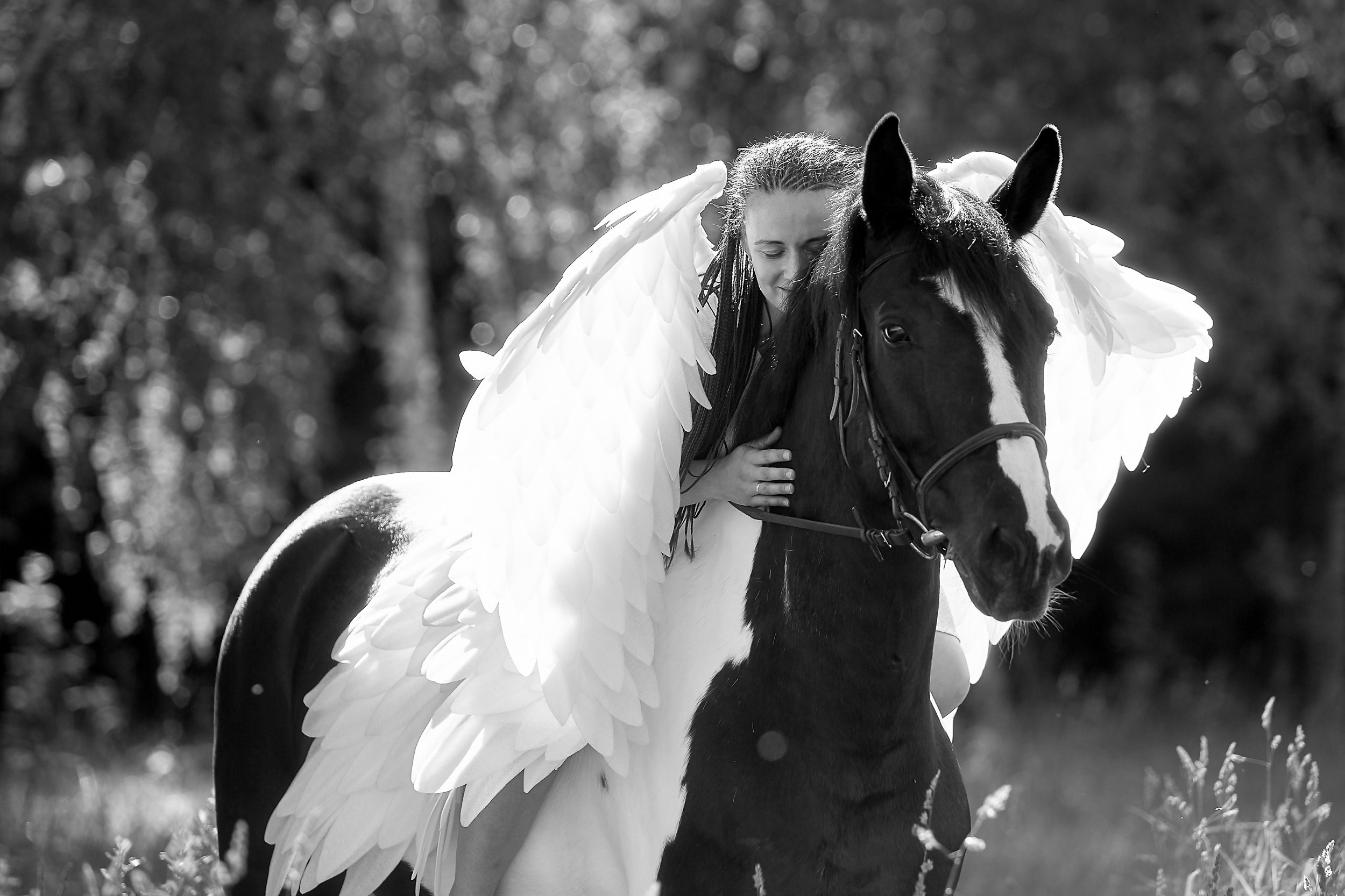 Фотосессия с лошадьми Фотограф Михаил Семенов