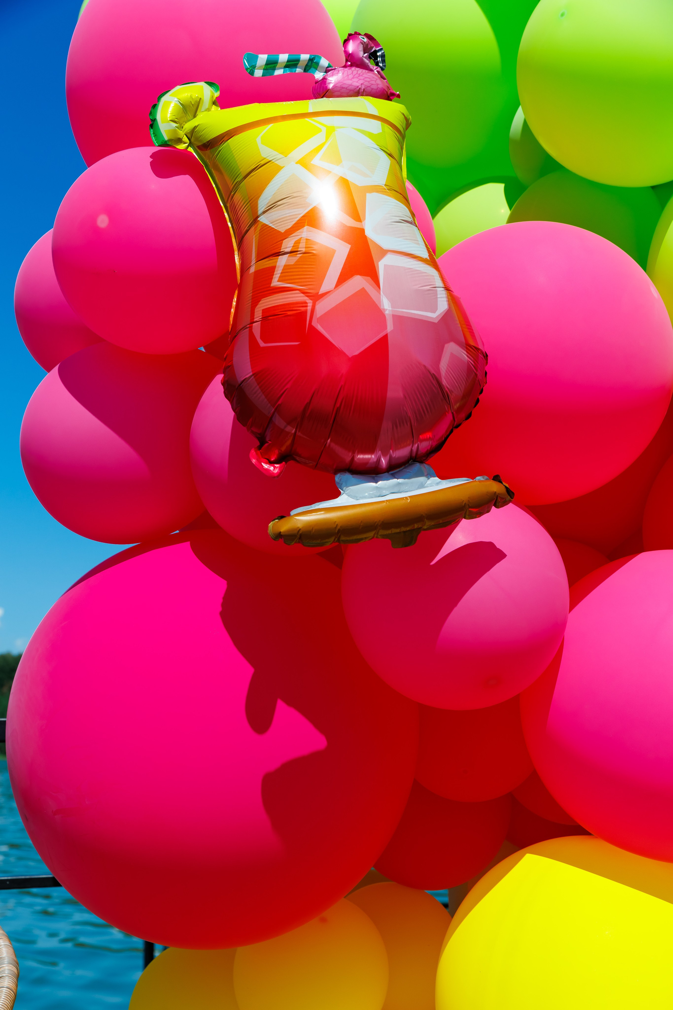 Летняя вечеринка декораторов ШИУ. Фотограф Новосибирск — Наталья Гресь