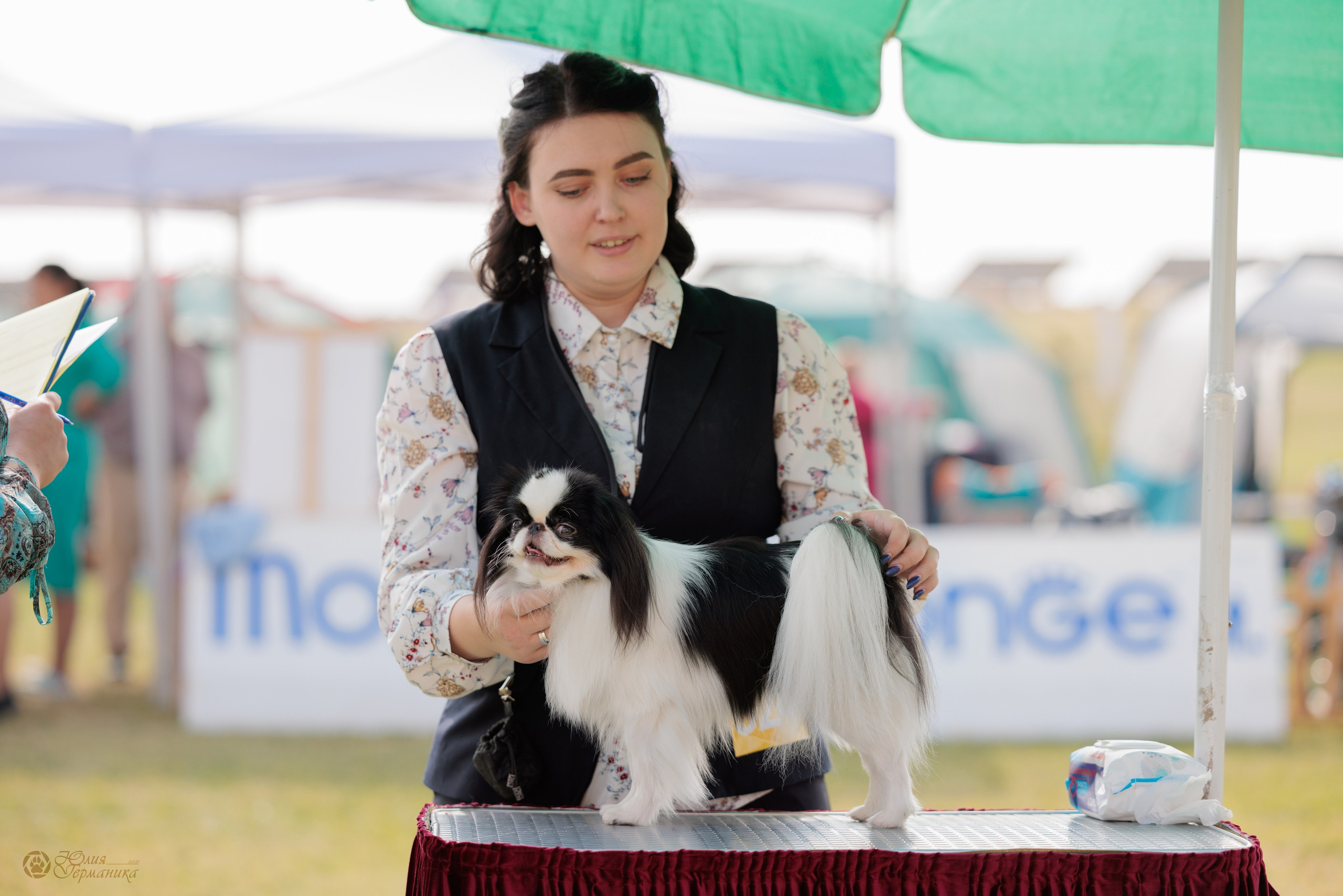 Армения,Ереван 3хCACIB 15-17.10.2024. Фотограф-анималист Юлия Германика