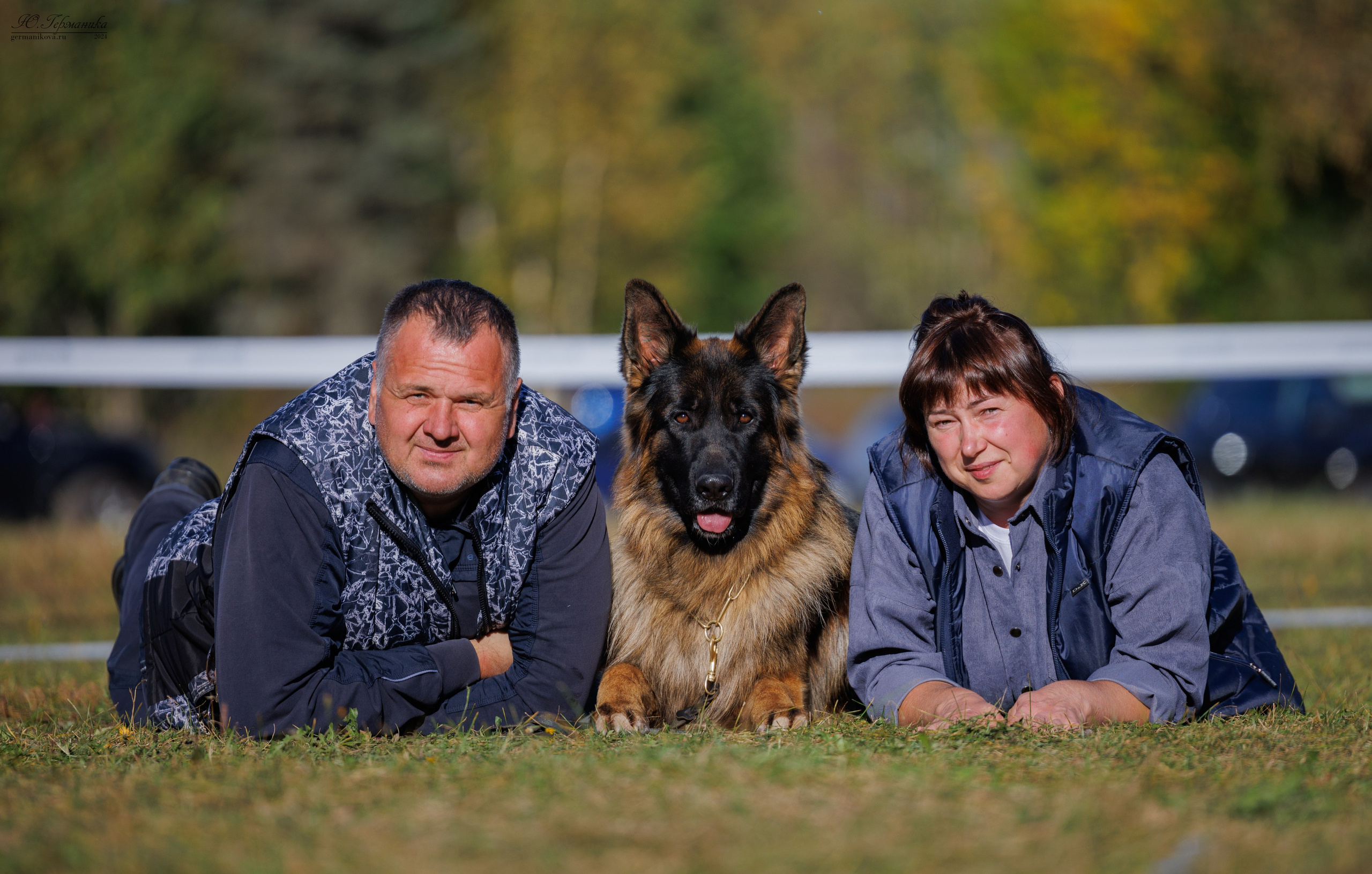 Тверь немецкие овчарки 22.09.2024. Фотограф-анималист Юлия Германика