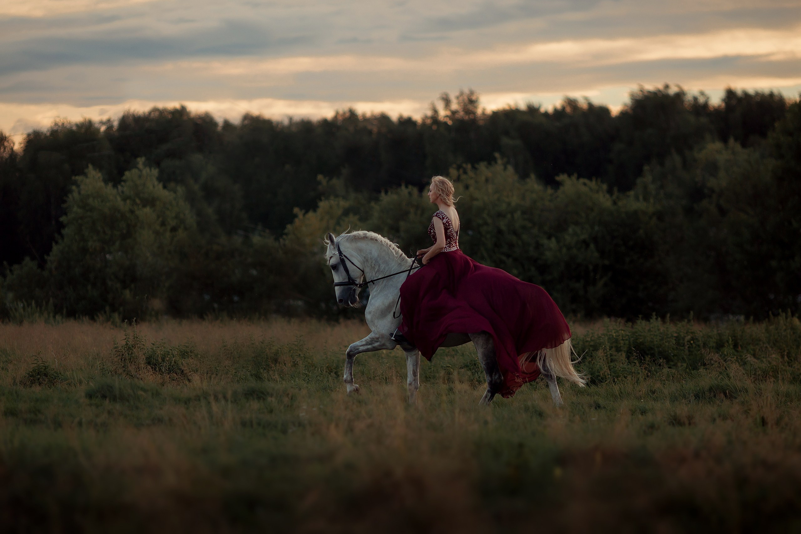 Фотосессии с лошадьми. Конный фотограф Валынкина Лера