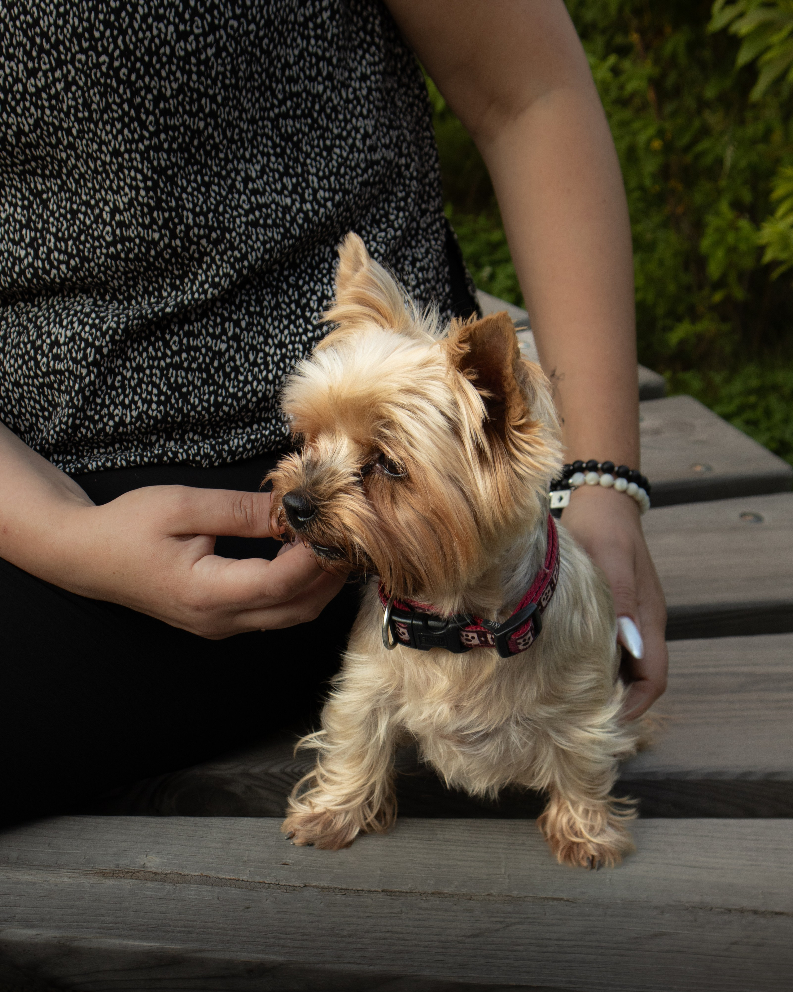 С животными. Фотограф Новосибирск, Академгородок, Бердск — Айна