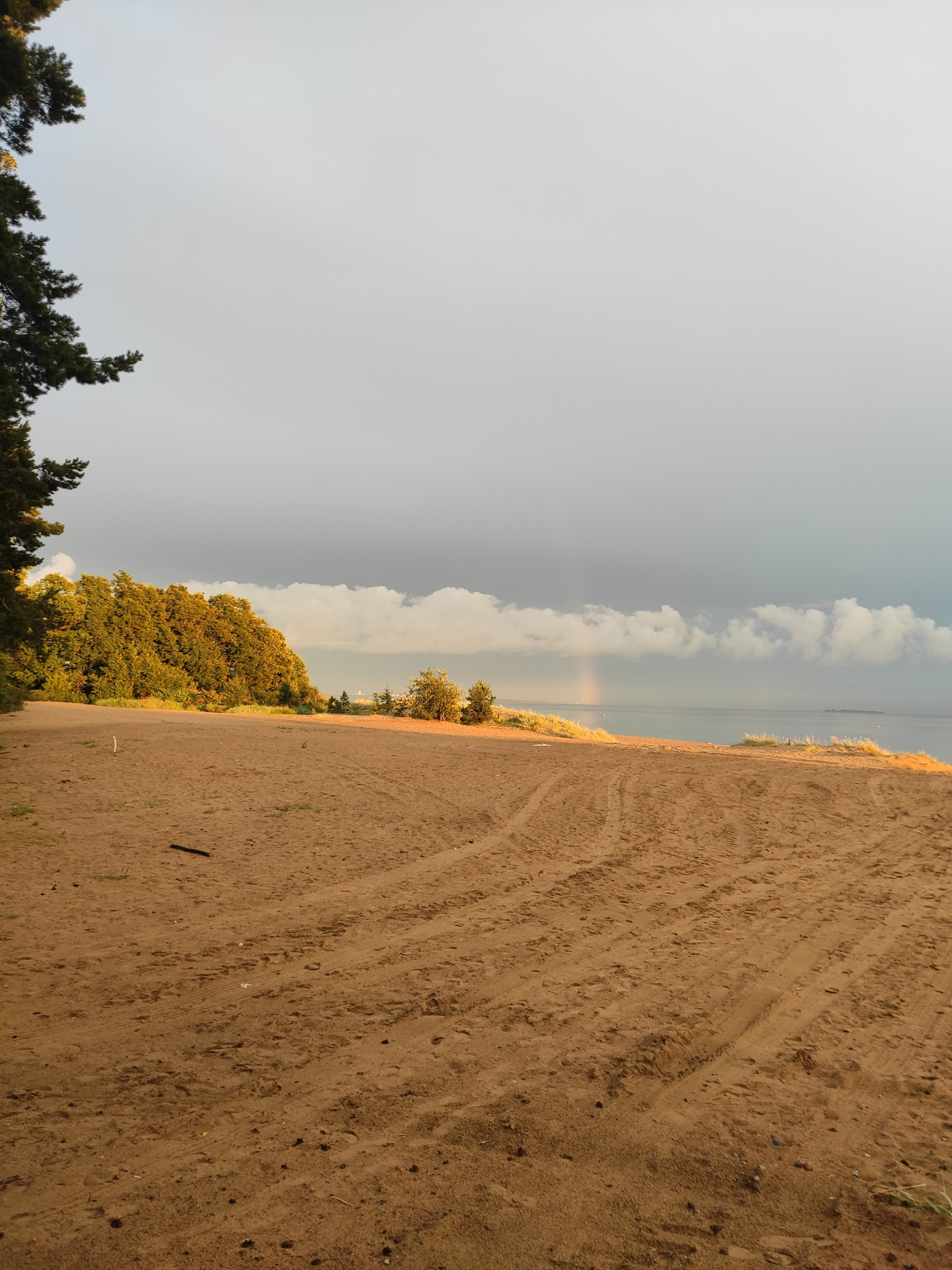 Погода в Санкт-Петербурге переменчива. Весь день было пасмурно, к вечеру выглянуло солнышко. Поймали кусочек радуги