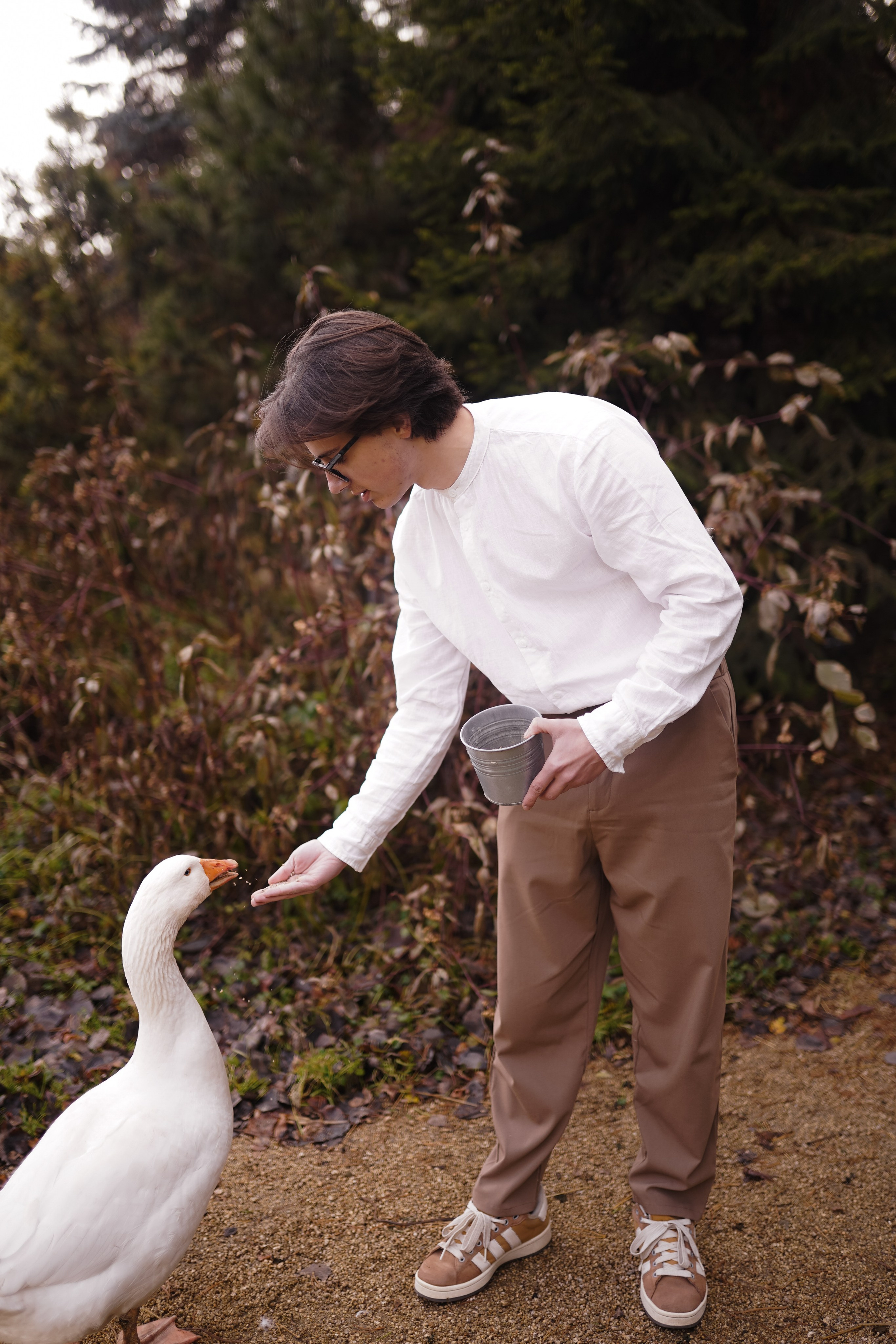 Домик на дереве