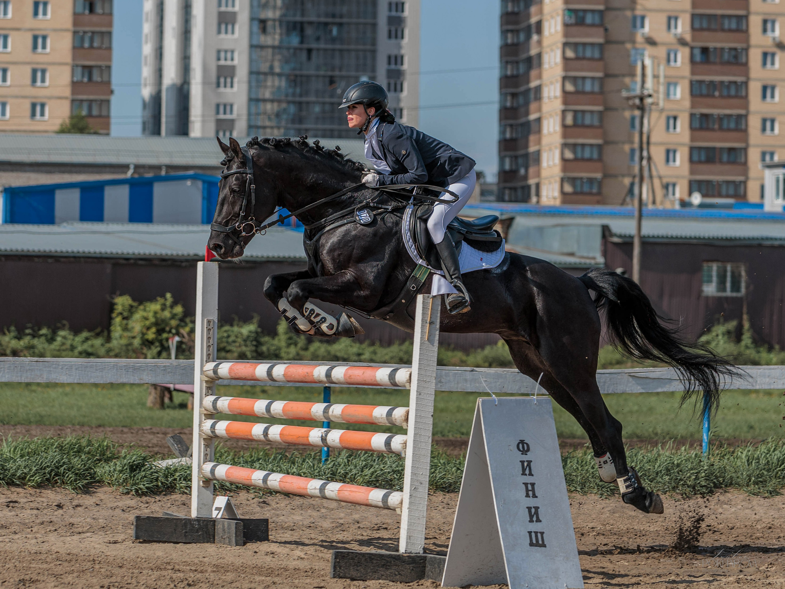 2025. Конный фотограф в Красноярске — Любовь Похабова