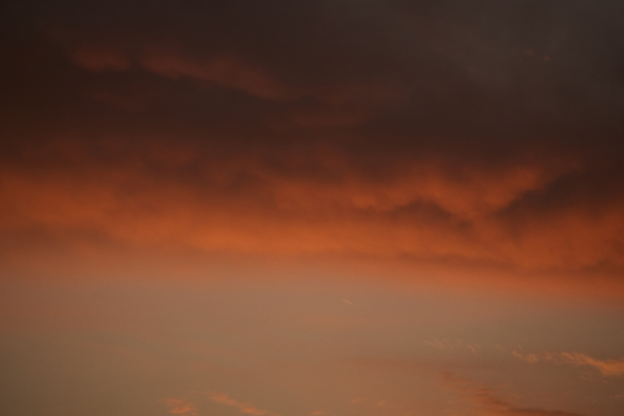 Guinea-Bissau. See the moment and catche. commercial and reportage