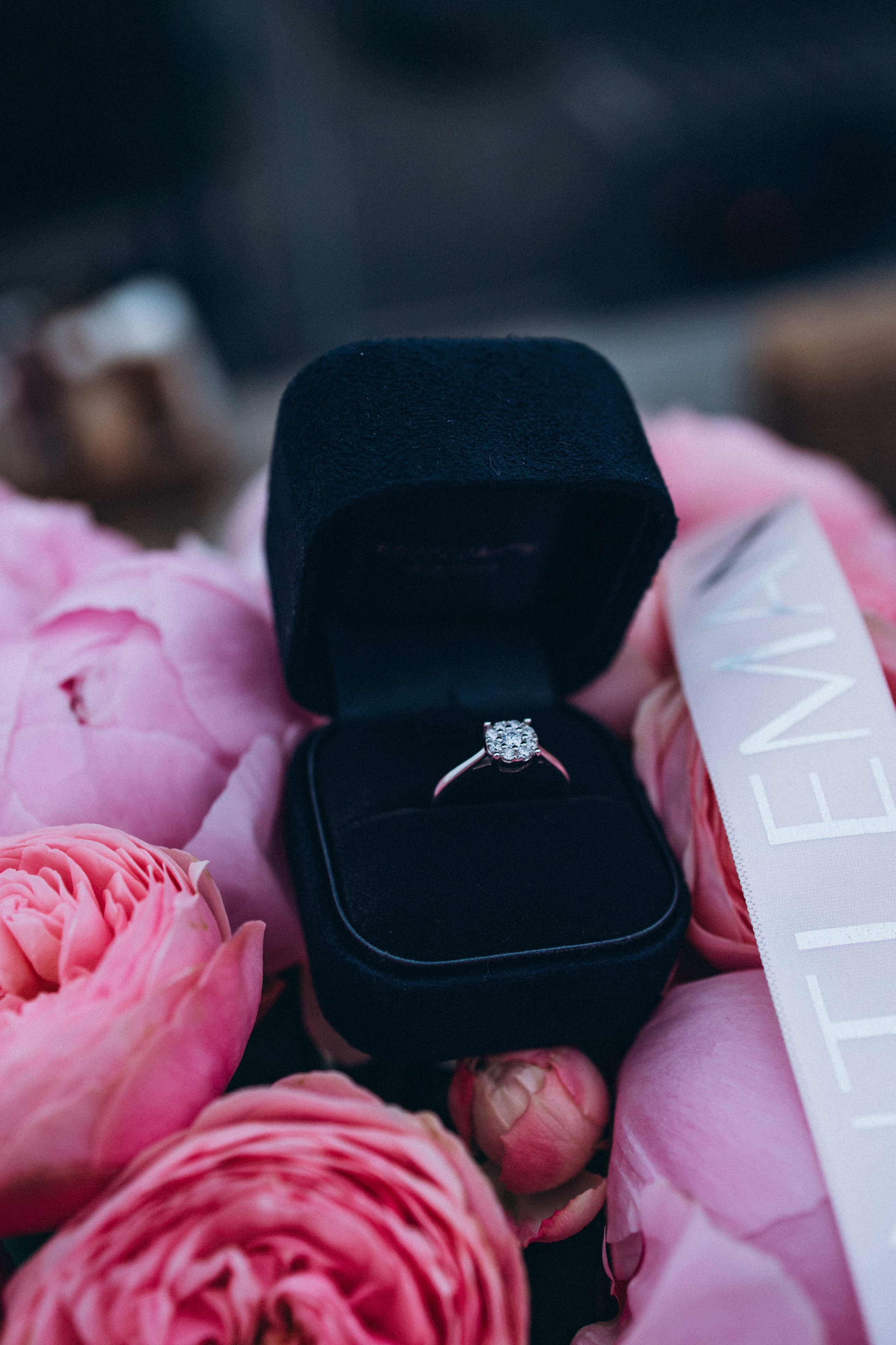 Она сказала ДА. Семейный фотограф Нижневартовск Тюмень Ефимова Ирина