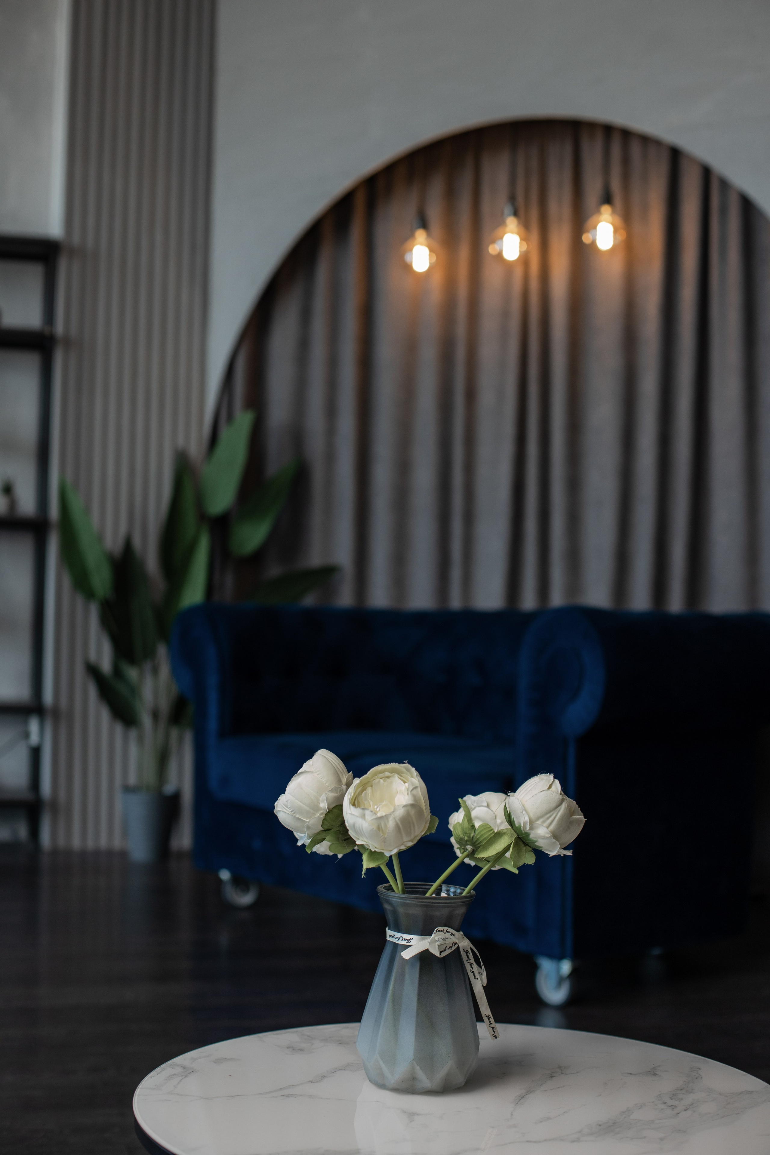 Честер (студия Зеркало). Фотограф г. Хабаровск. Семейные и индивидуальные съёмки