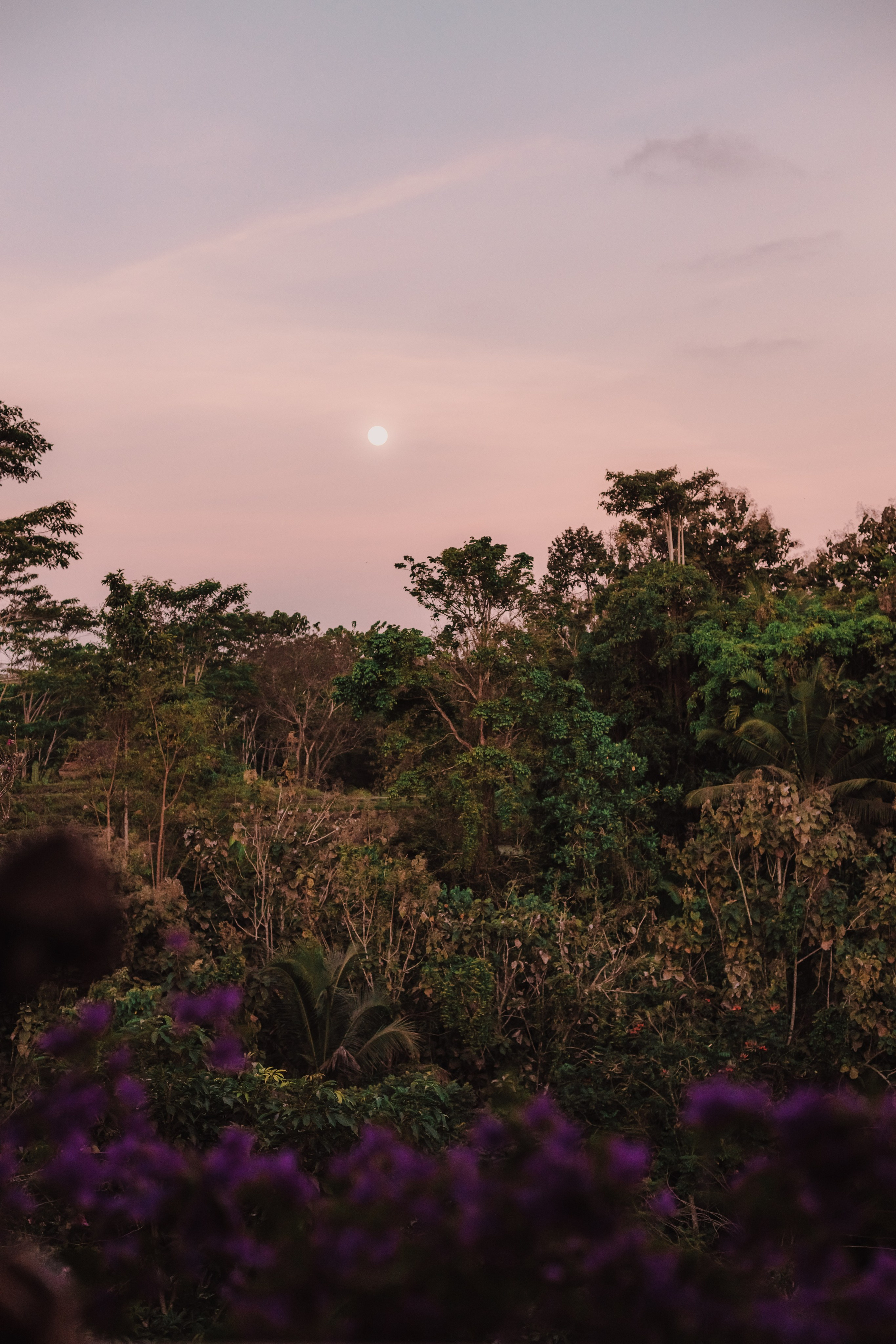 Love & honey. Mariam Bagdasaryan