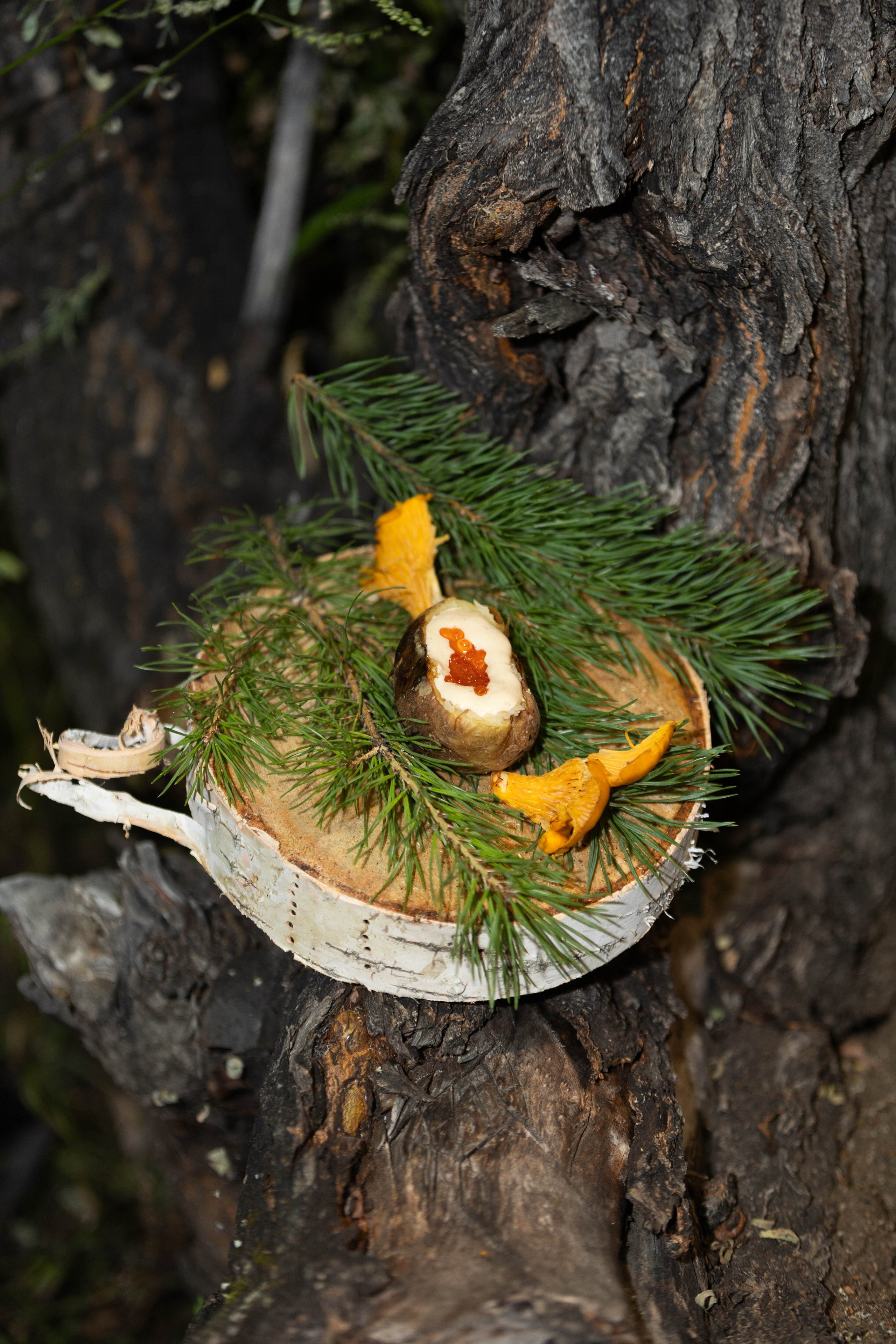 Выездной ресторан лучших 8 Шеф-поваров со всего Иркутска. Репортажный фотограф в Иркутске — Ярослав Ковалёв