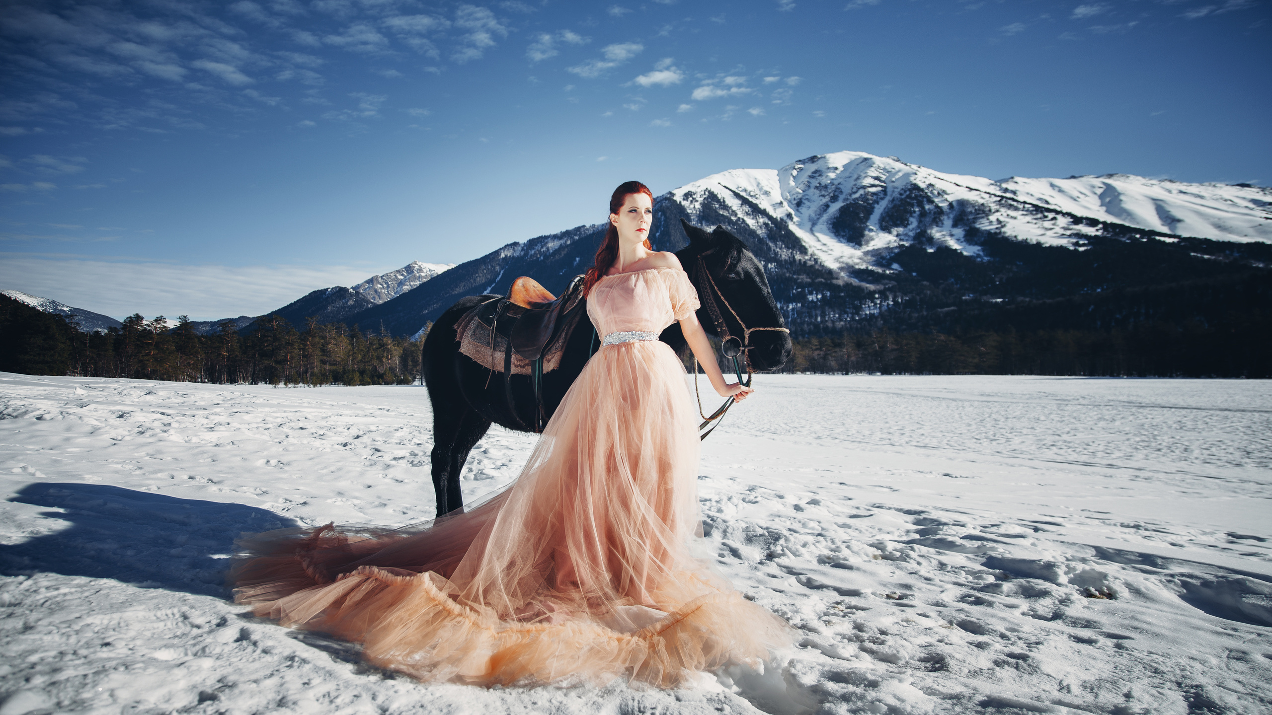 Фотосессия с лошадью на природе