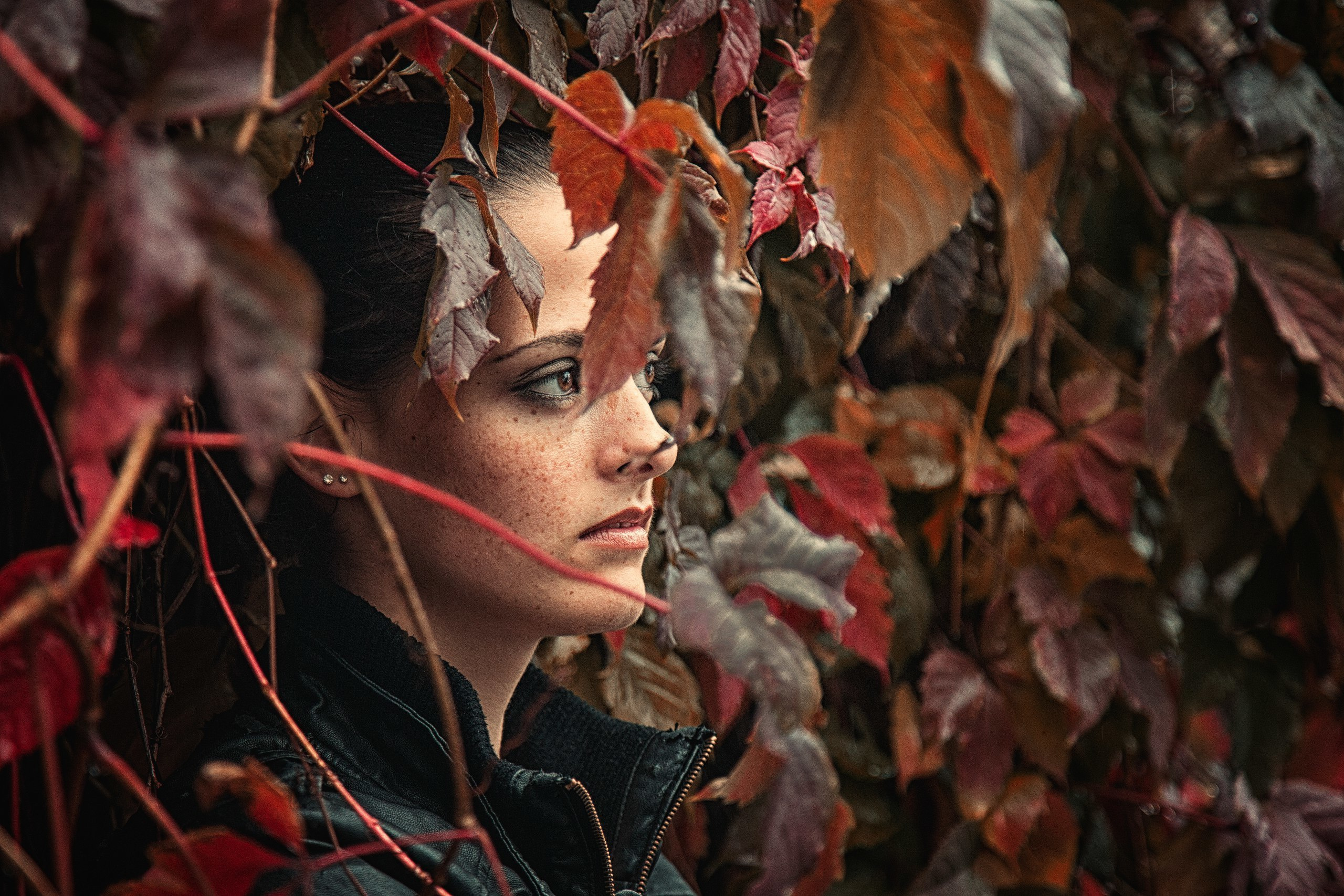 Художественная фотография