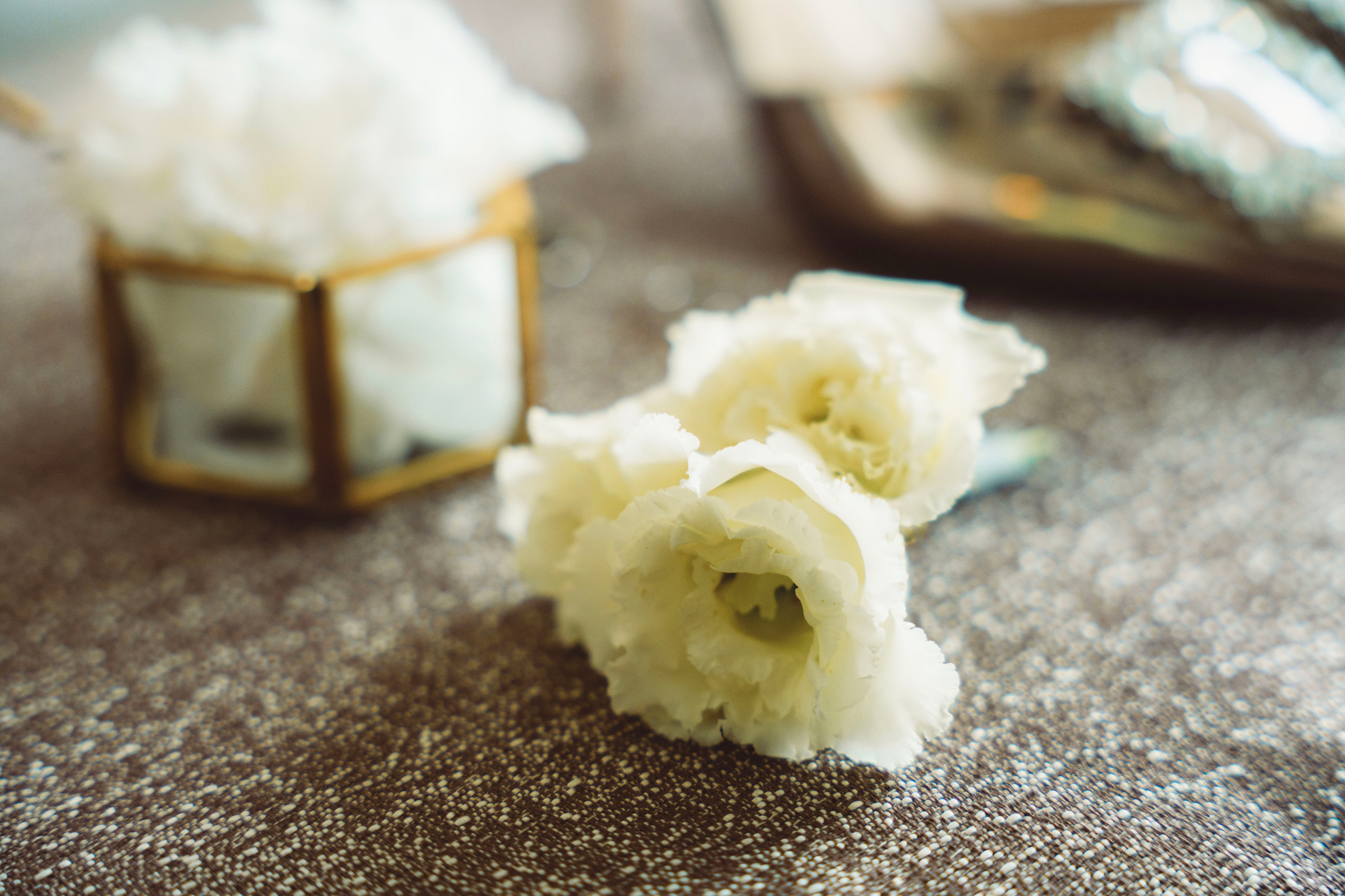 Юлия и Николай. Фотограф Юлия Попова