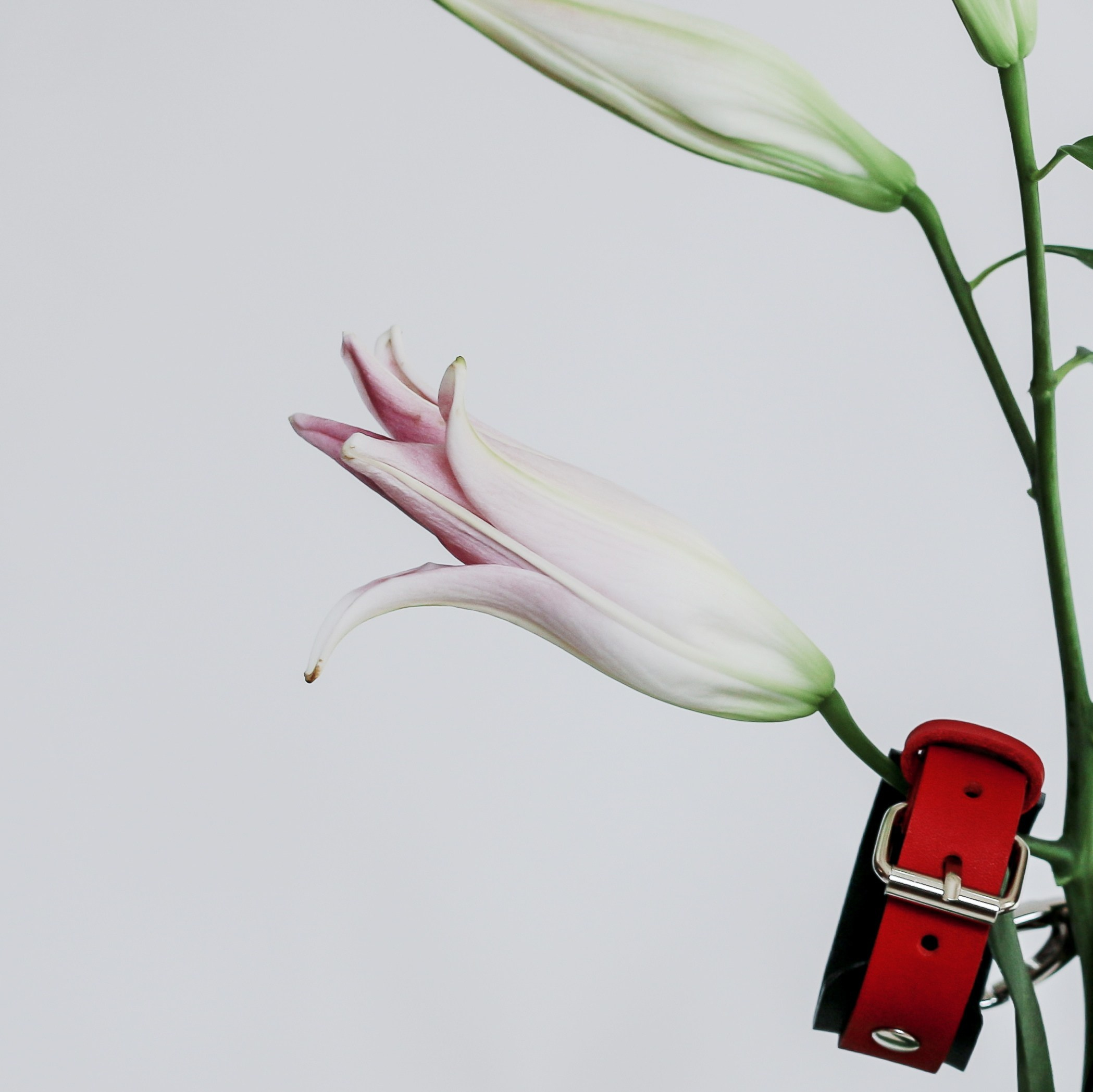 Эстетизация повседневности. Маша Иванова —