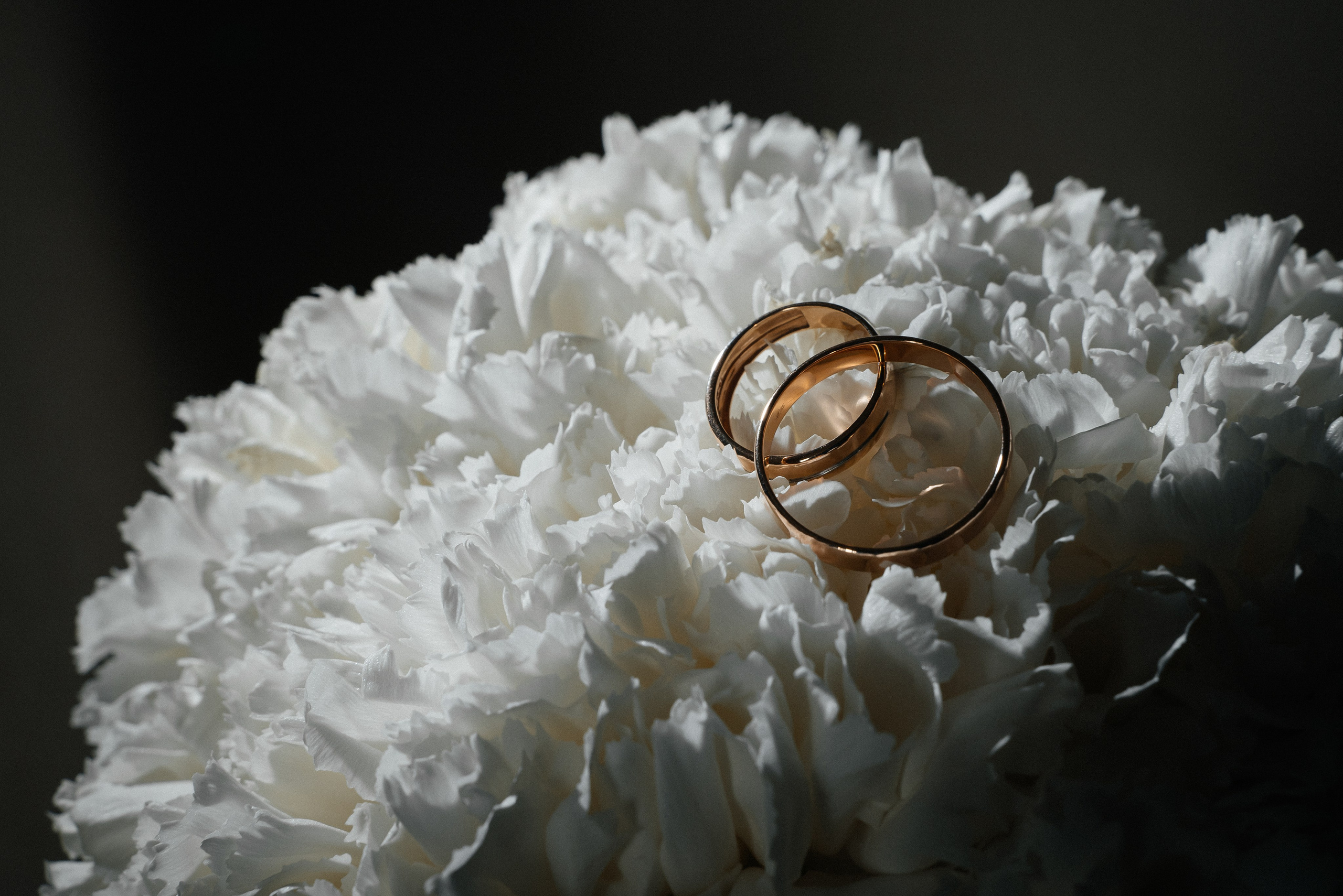 Алена & Анатолий. Фотограф в Краснодарском крае Александр Шульга