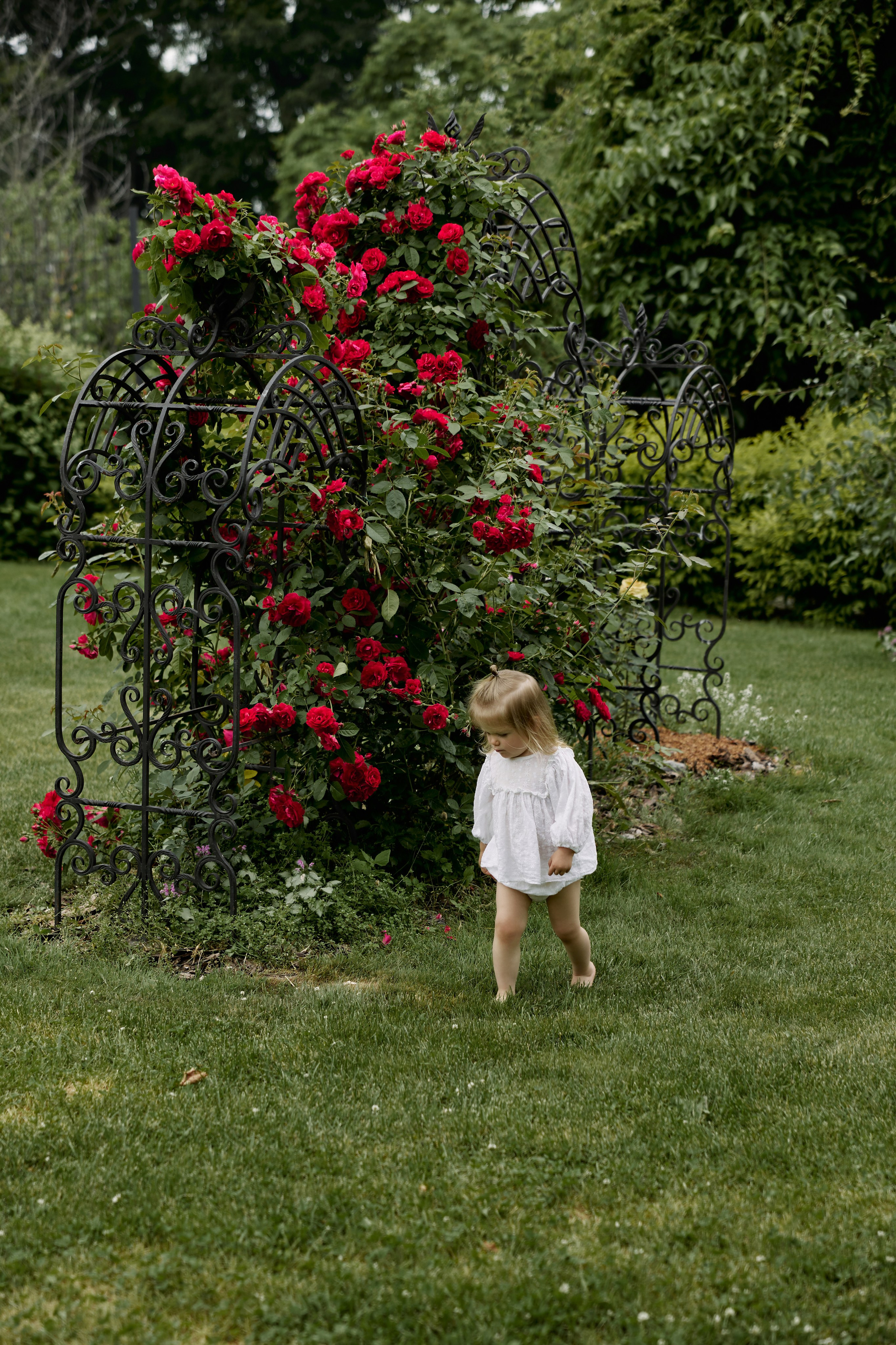 Прогулка в саду. Семейный фотограф и фотограф беременности во Владивостоке