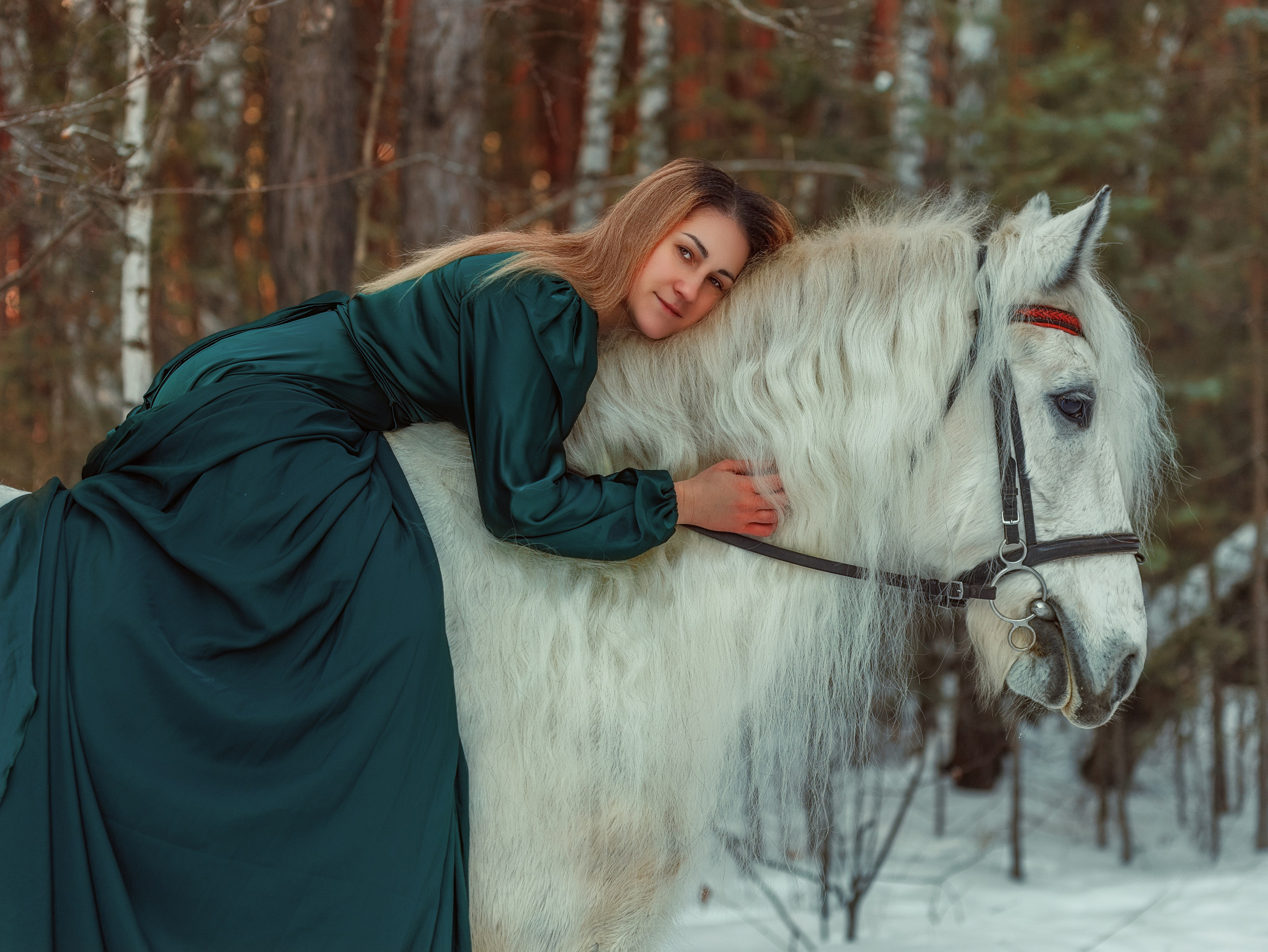 Феникс. Конный фотограф в Красноярске — Любовь Похабова