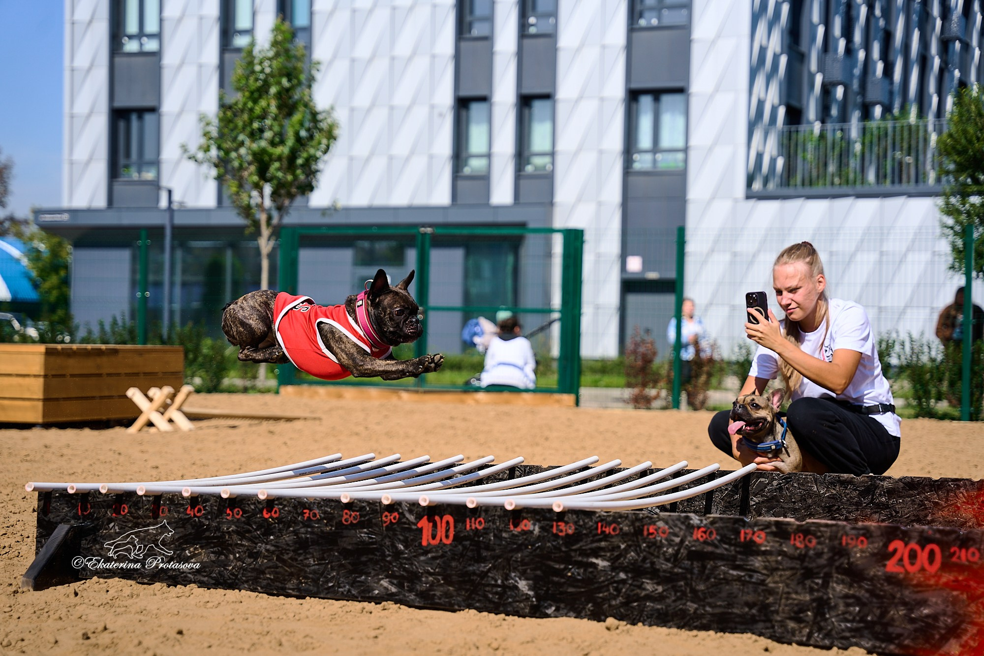 Питстафф многоборье. Фотограф-анималист в Иркутске