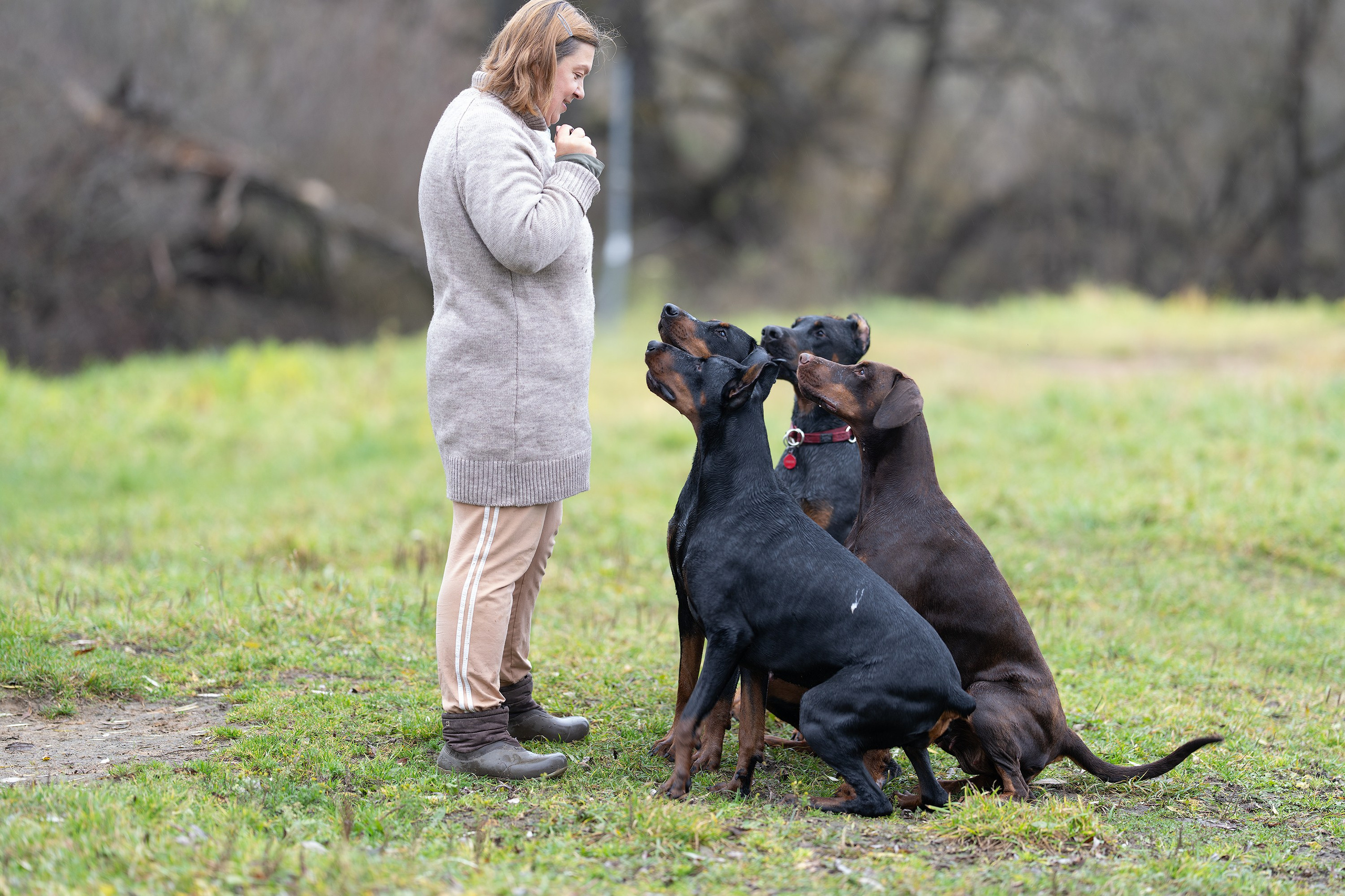 Собака и человек. Boldinova Yulia фотограф Москва