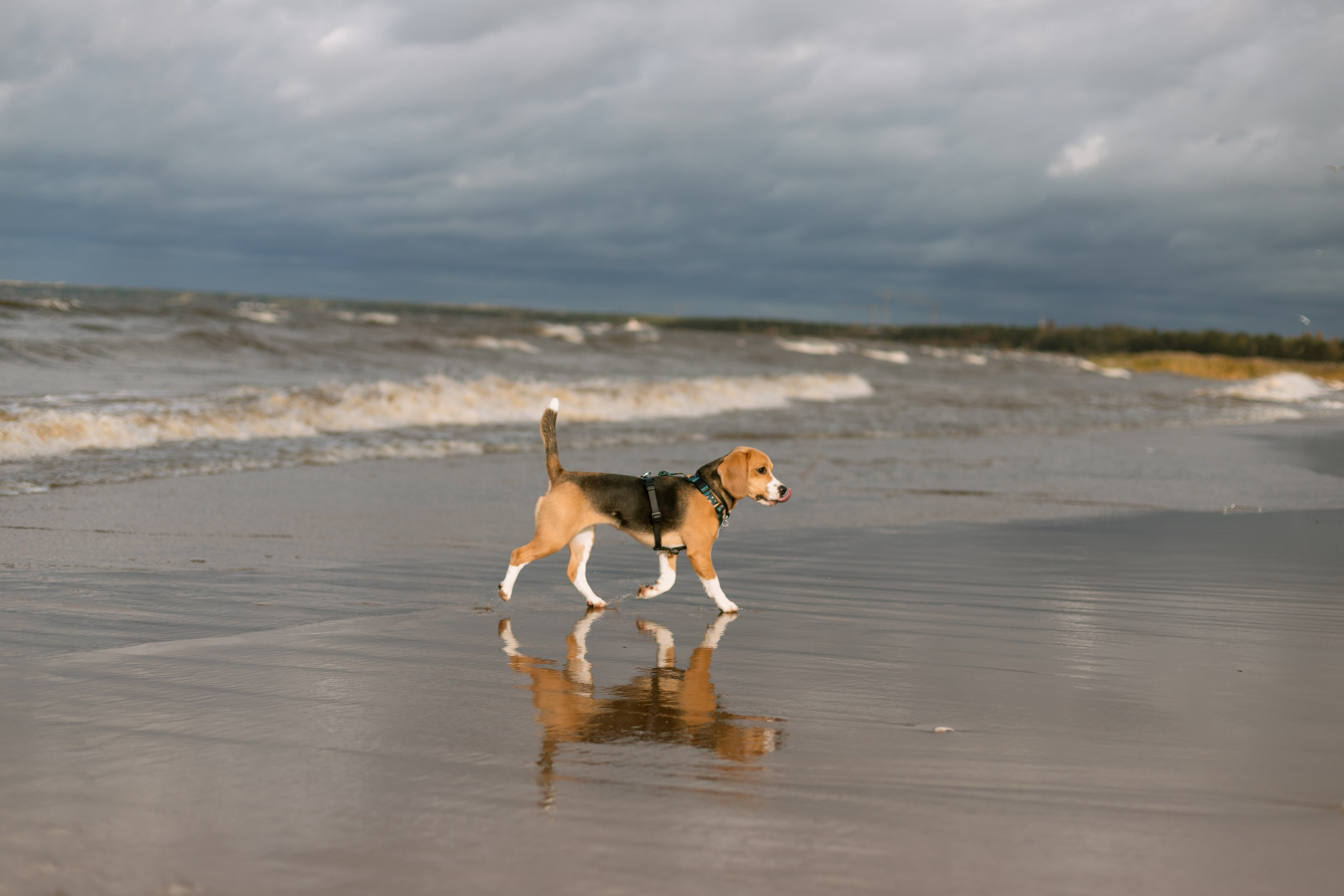 Екатерина и Юкки. Утонченный фотограф в Санкт-Петербурге Ксения Пелевина