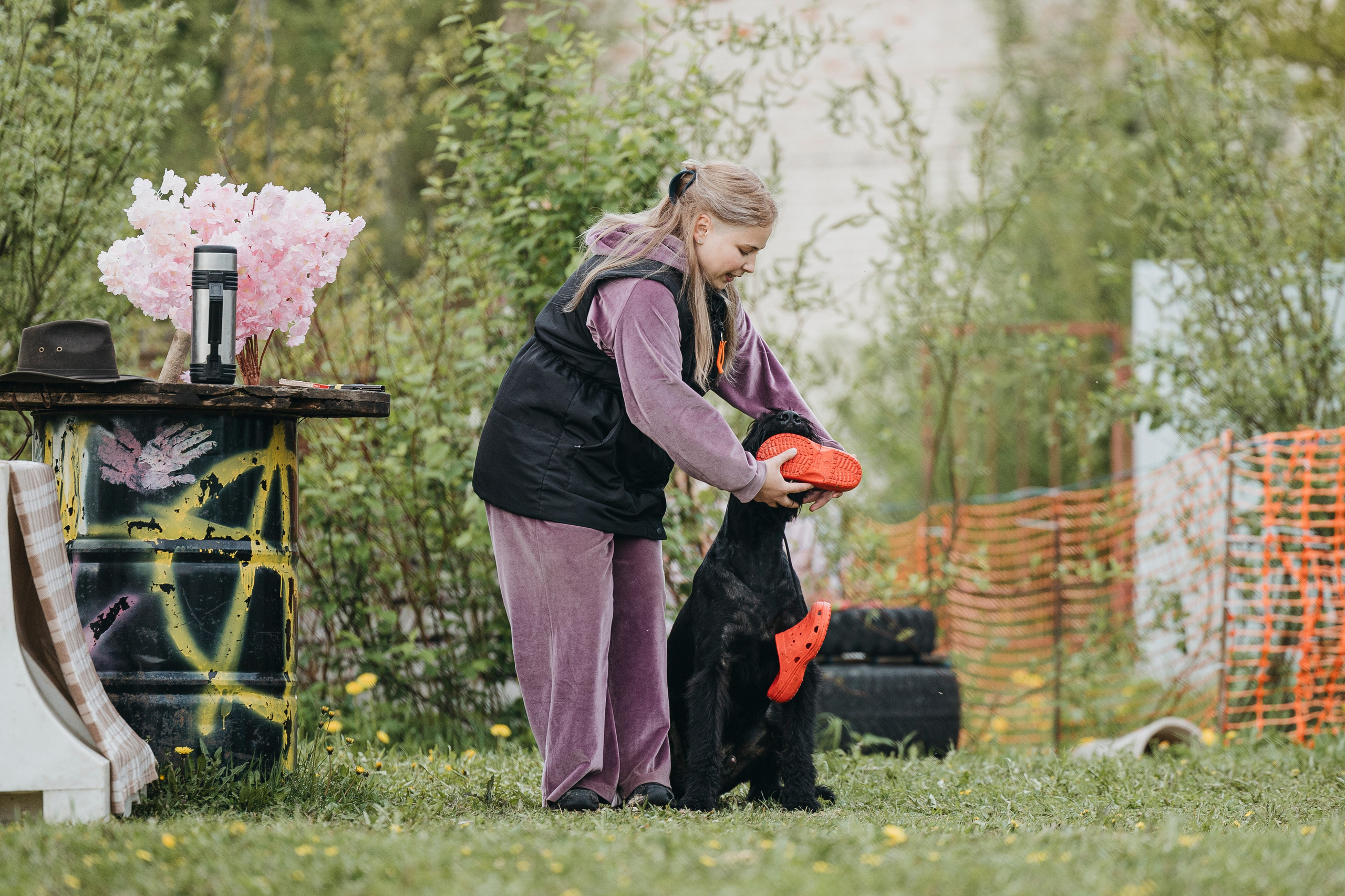 26.05.25 г. Пушкин квалификационные соревнования. Фотограф-анималист Анна Маринич