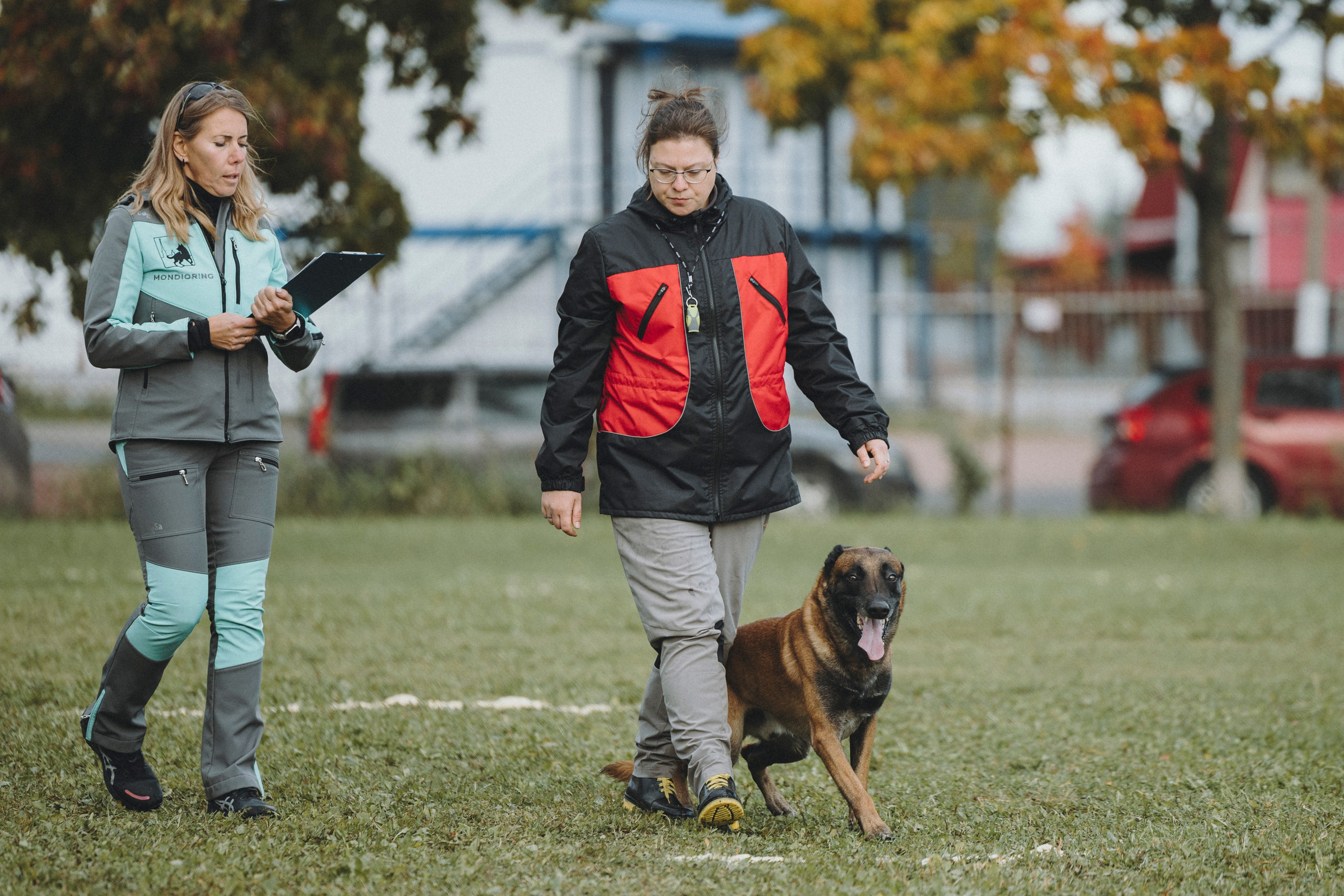 Испытания по мондьорингу г. Пушкин 29.09.2024. Фотограф-анималист Анна Маринич