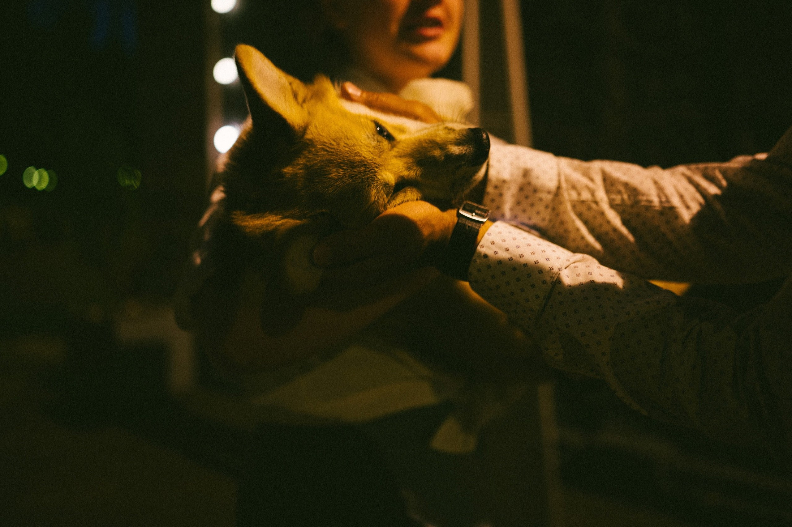 Илья и Татьяна. Свадебный и репортажный фотограф Москва. Николай Бойко