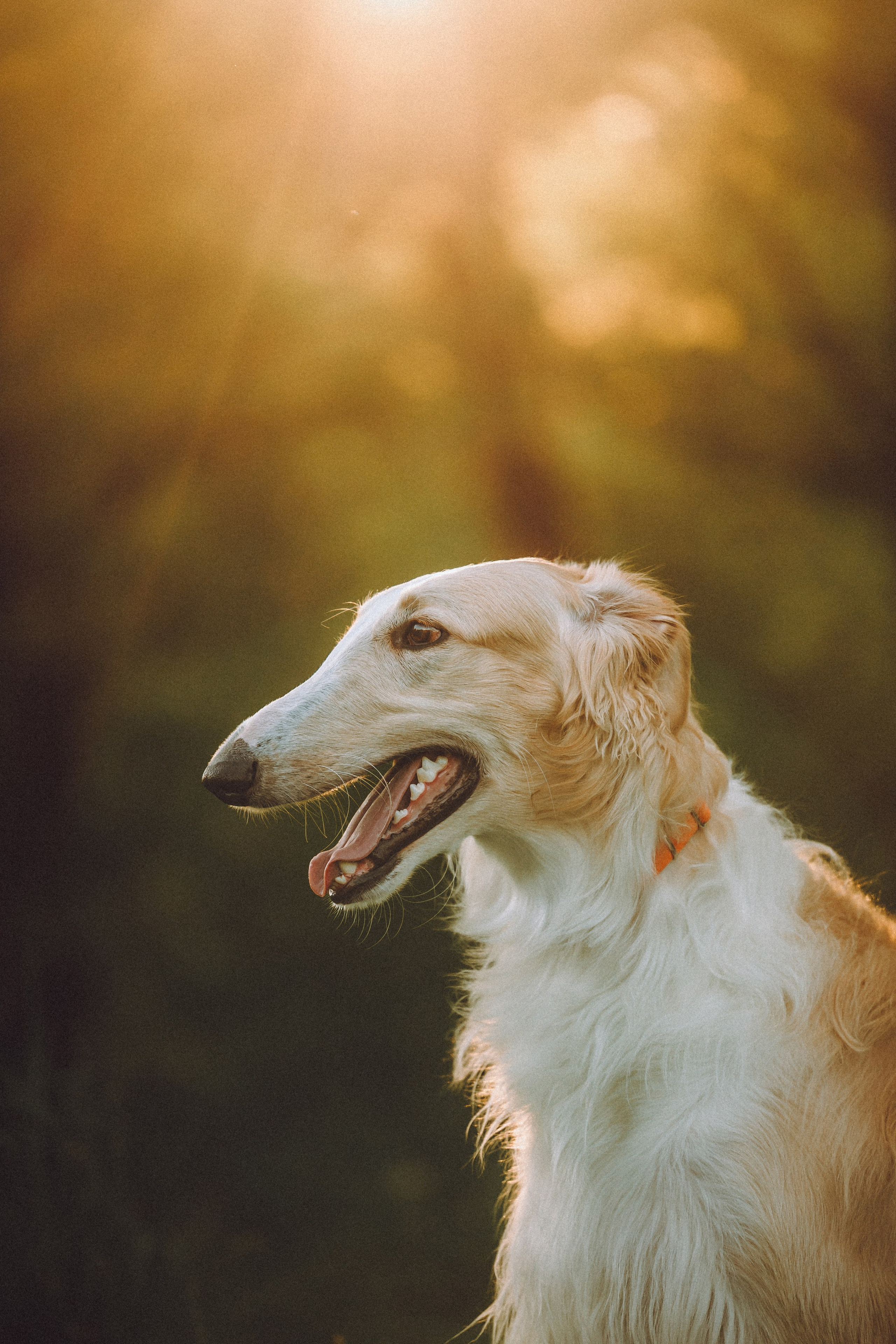 Илай, Зайка и их семья
