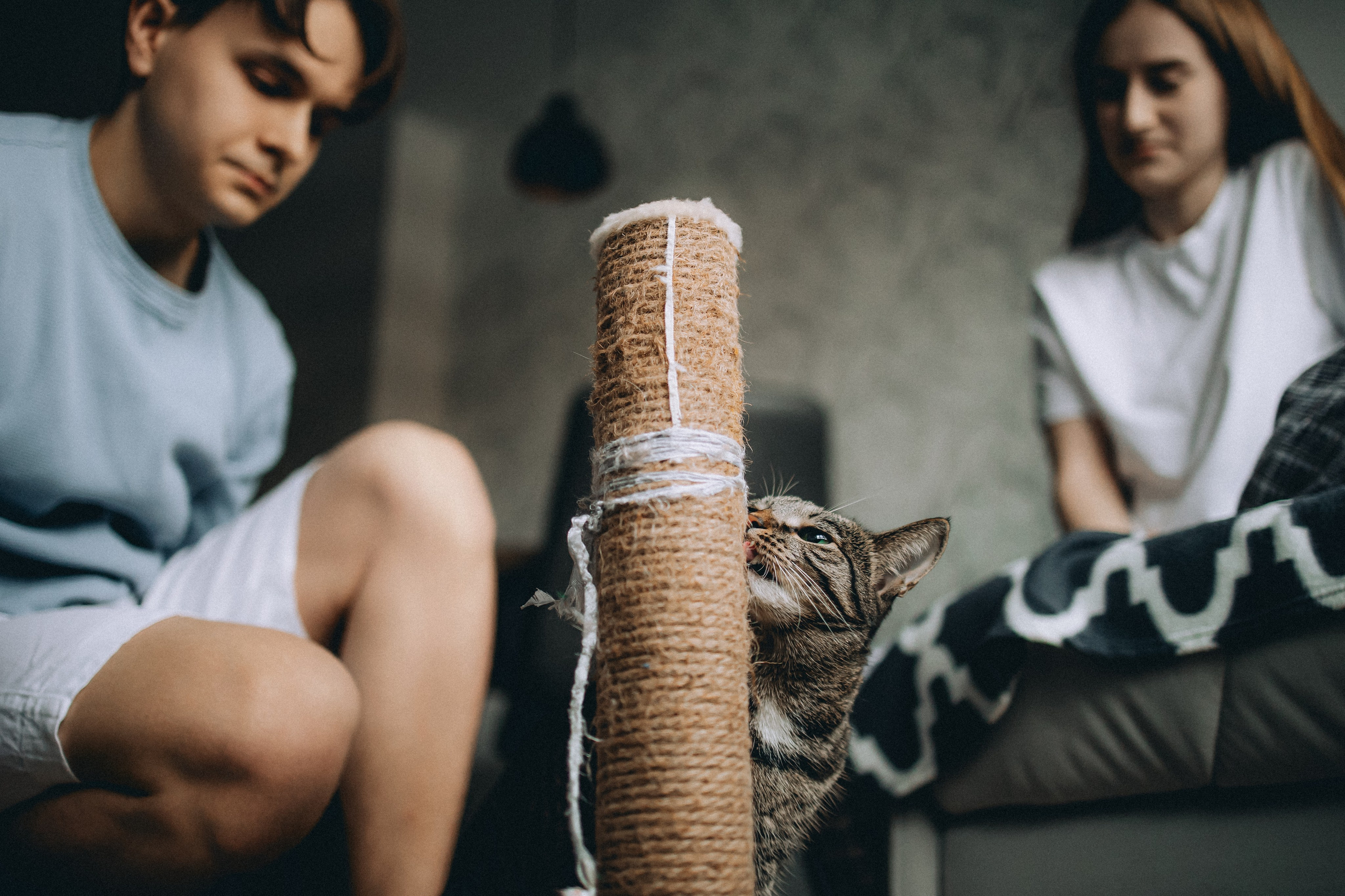 Рыся, Кепа и их семья