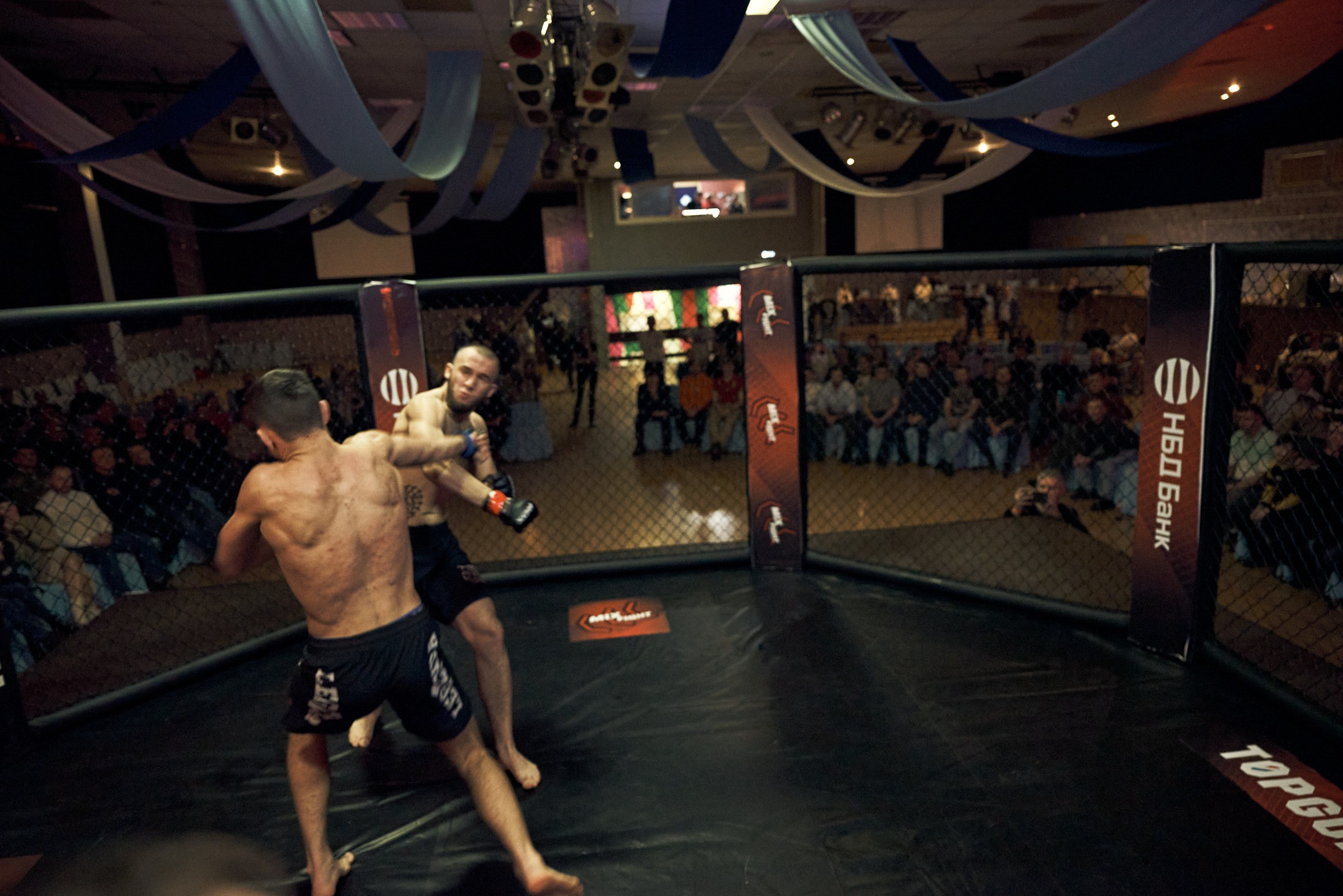 Бои. Маляревич Дмитрий свадебный фотограф