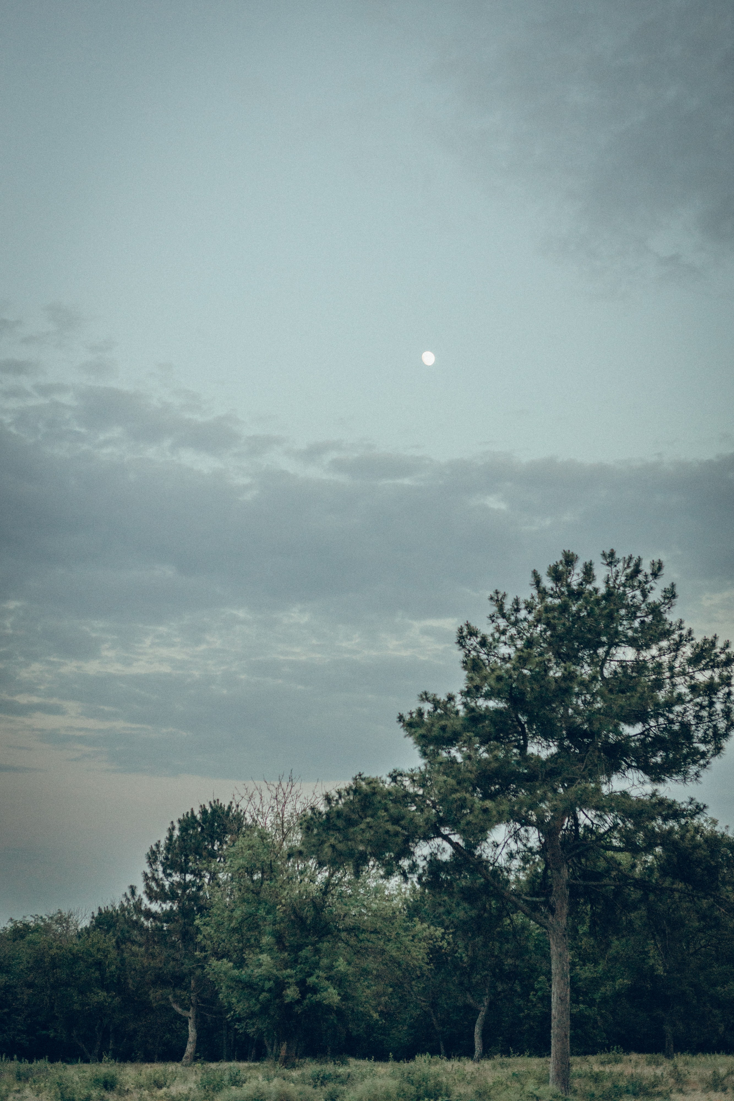 Наташа & Сабир. Семейный фотограф и фотограф на роды в Ростове-на-Дону Мухина Виктория