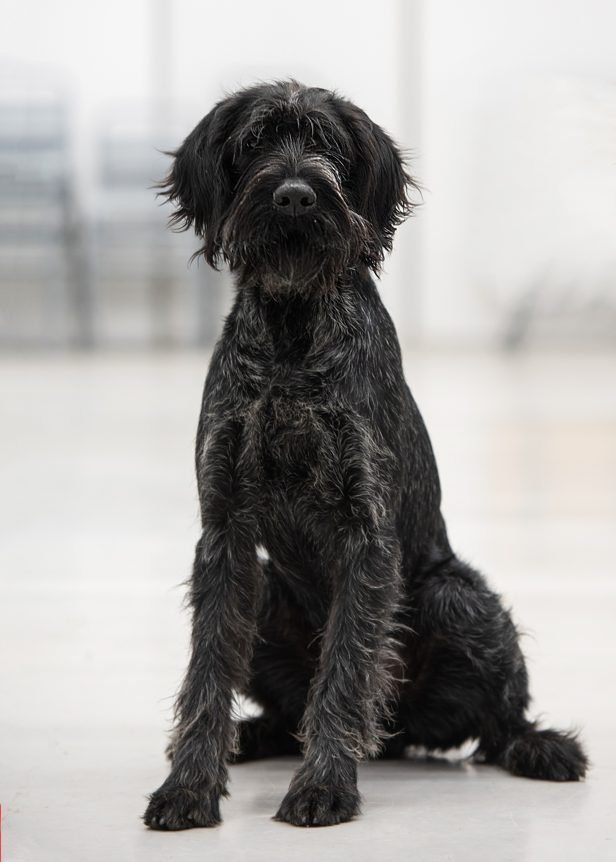 Выставки. Главная